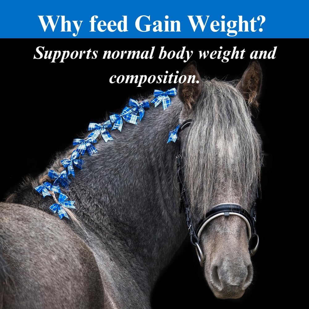 SU-PER Gain Weight for Horses - Equine Supplement Weight Gainer for Horses - Promotes Lean Muscle Mass, Digestion & Appetite - 10 Pound, 1 Month Supply