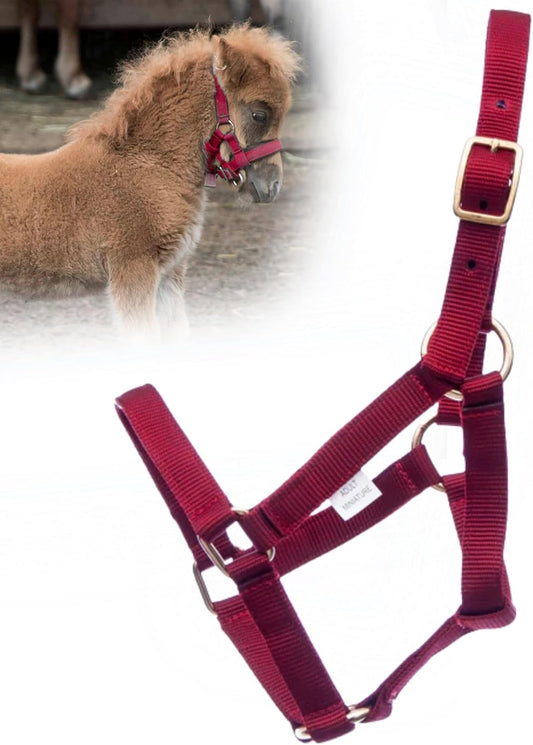 Jeffers Equine Mini Horse Halter – 3/4" Nylon Adjustable Halter for Miniature Horses, Ponies, Under 300 lbs – Heavy Duty Hardware, Secure Fit for Training, Turnout, Grooming, Travel – Red