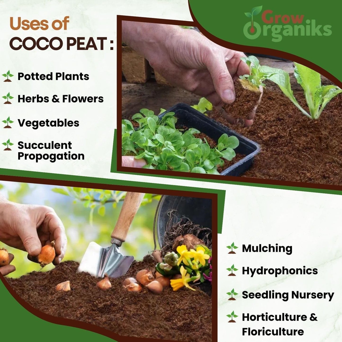 2 Pack Premium Coco Coir Brick for Plants | 100% Organic Compressed Coconut Coir Bricks Starting Mix, Coco Coir Fiber Coconut Husk for Planting, Gardening, Potting Soil Substrate, Herbs, 1.4 LB/Brick