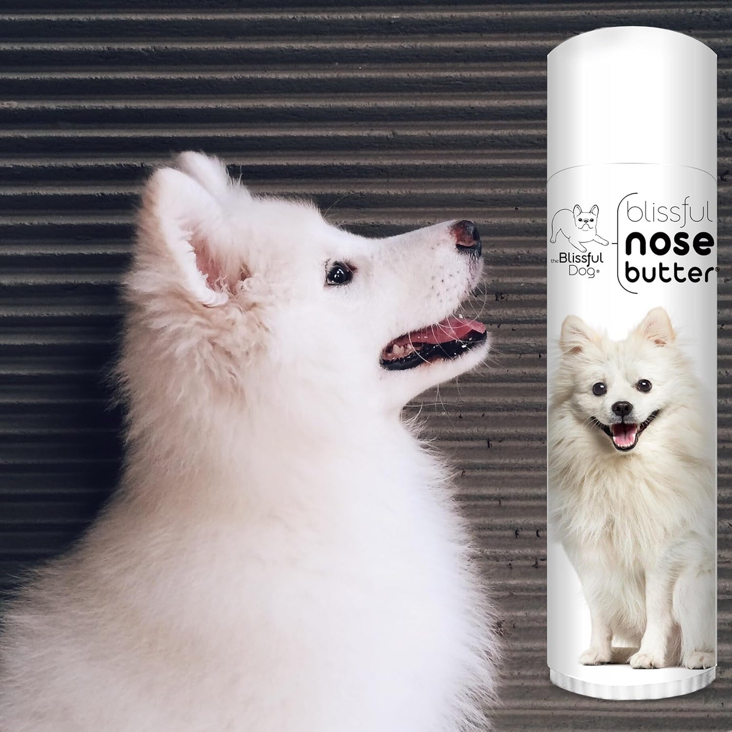 The Blissful Dog American Eskimo Nose Butter for Dry, Cracked Skin, Lick-Safe Dog Nose Balm with Moisturizing Shea Butter, Almond, Olive, and Essential Oils, Pet Supplies, Uncented, 0.50 oz.