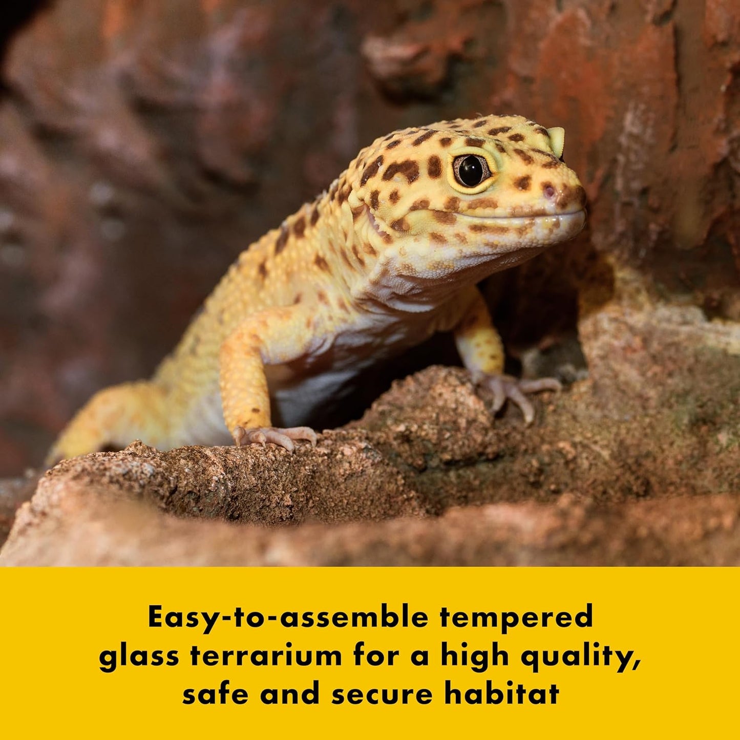 Zilla QuickBuild Reptile 65 Gallon Glass Terrarium Habitat with Sliding Door For Geckos, Snakes, Lizards, Frogs, Turtles, and Tortoises, 48" x 18" x 18"