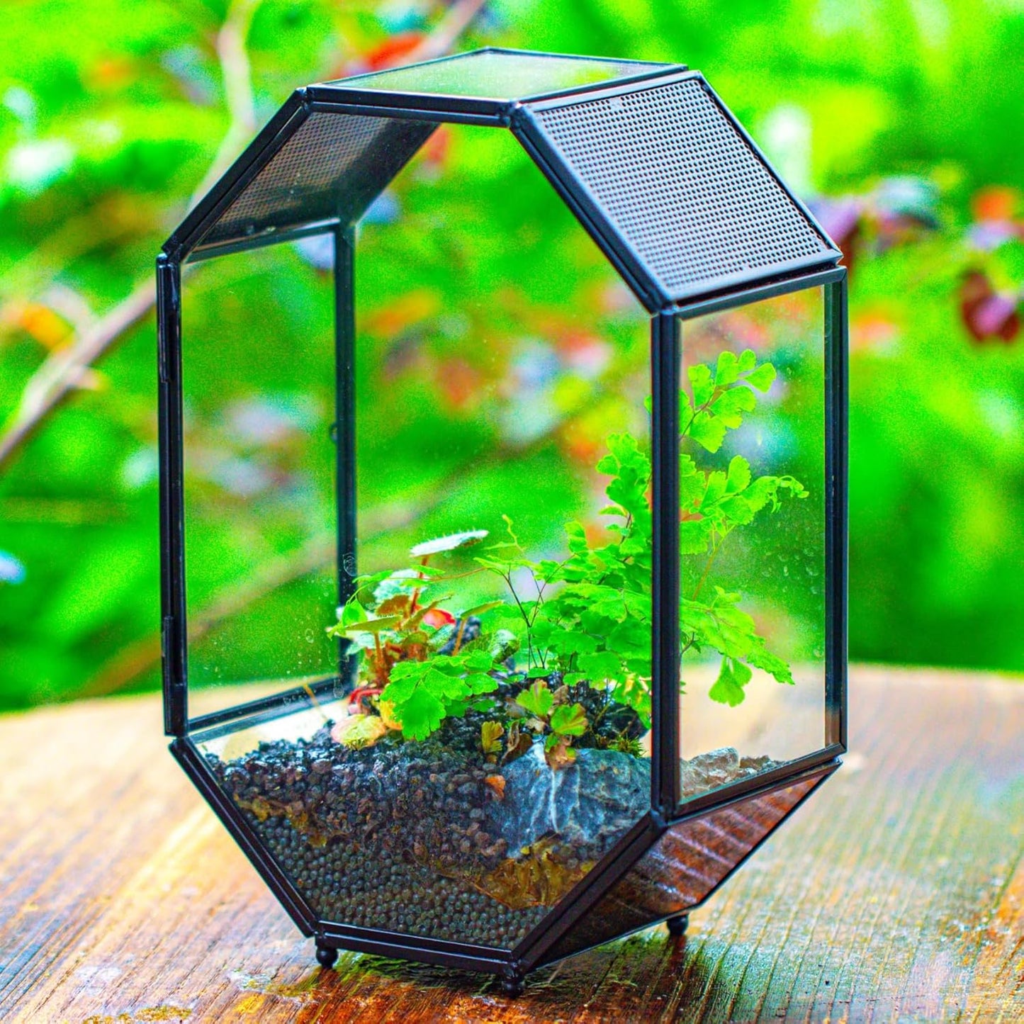 NCYP Glass Enclosure Terrarium with Mesh and Door for Jumping Spiders, Snails, Insects - Octagon Shape Small Succulents Terrarium 6.2 x 3.1 x 8.7 inches, Black Tabletop Decor (Plants Not Include)