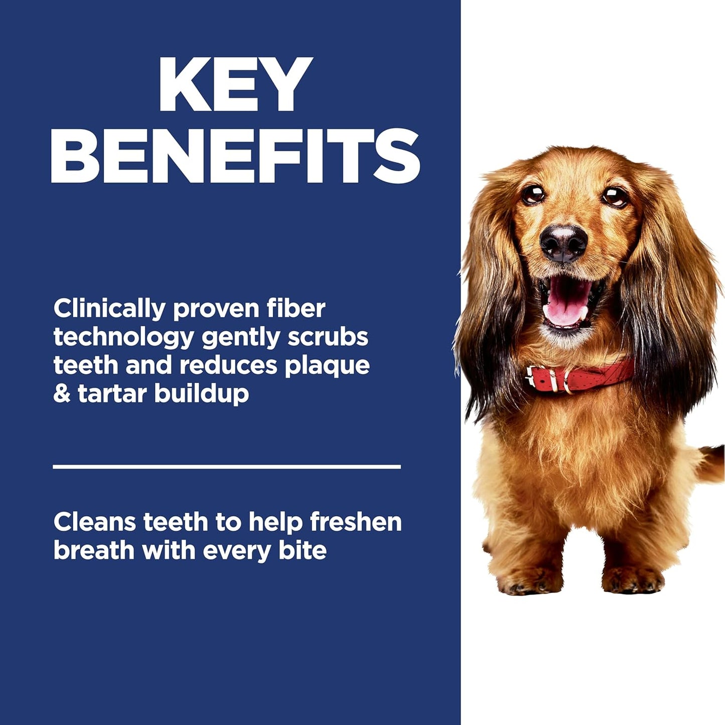 Hill's Science Diet Oral Care, Adult 1-6, Plaque & Tartar Buildup Support, Dry Dog Food, Chicken, Rice, & Barley, 4 lb Bag