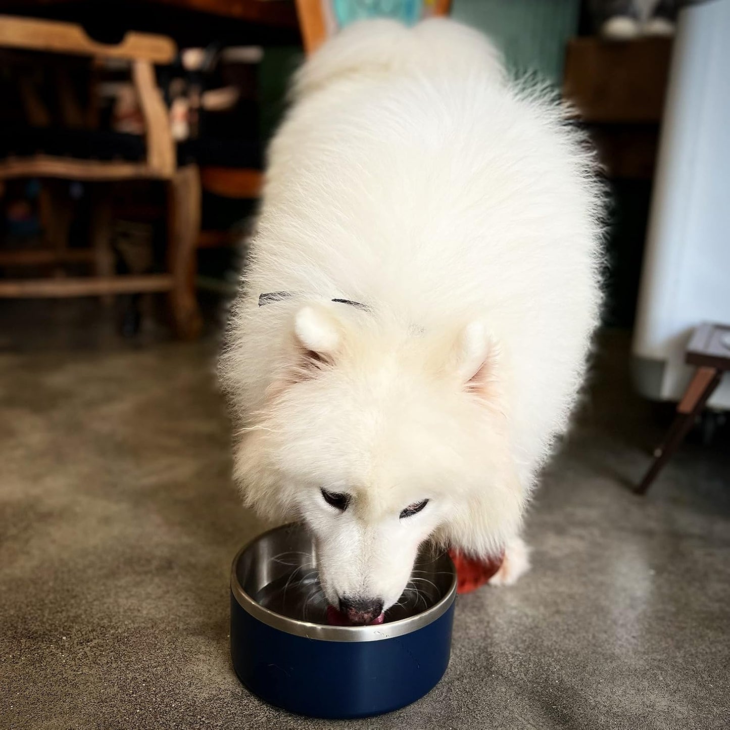 IKITCHEN Dog Bowl for Food and Water, 40 Oz Stainless Steel Pet Feeding Bowl, Durable Non-Skid Double Wall Insulated Heavy Duty with Rubber Bottom for Medium Large Sized Dogs (40 Ounces/5 Cup, Blue)