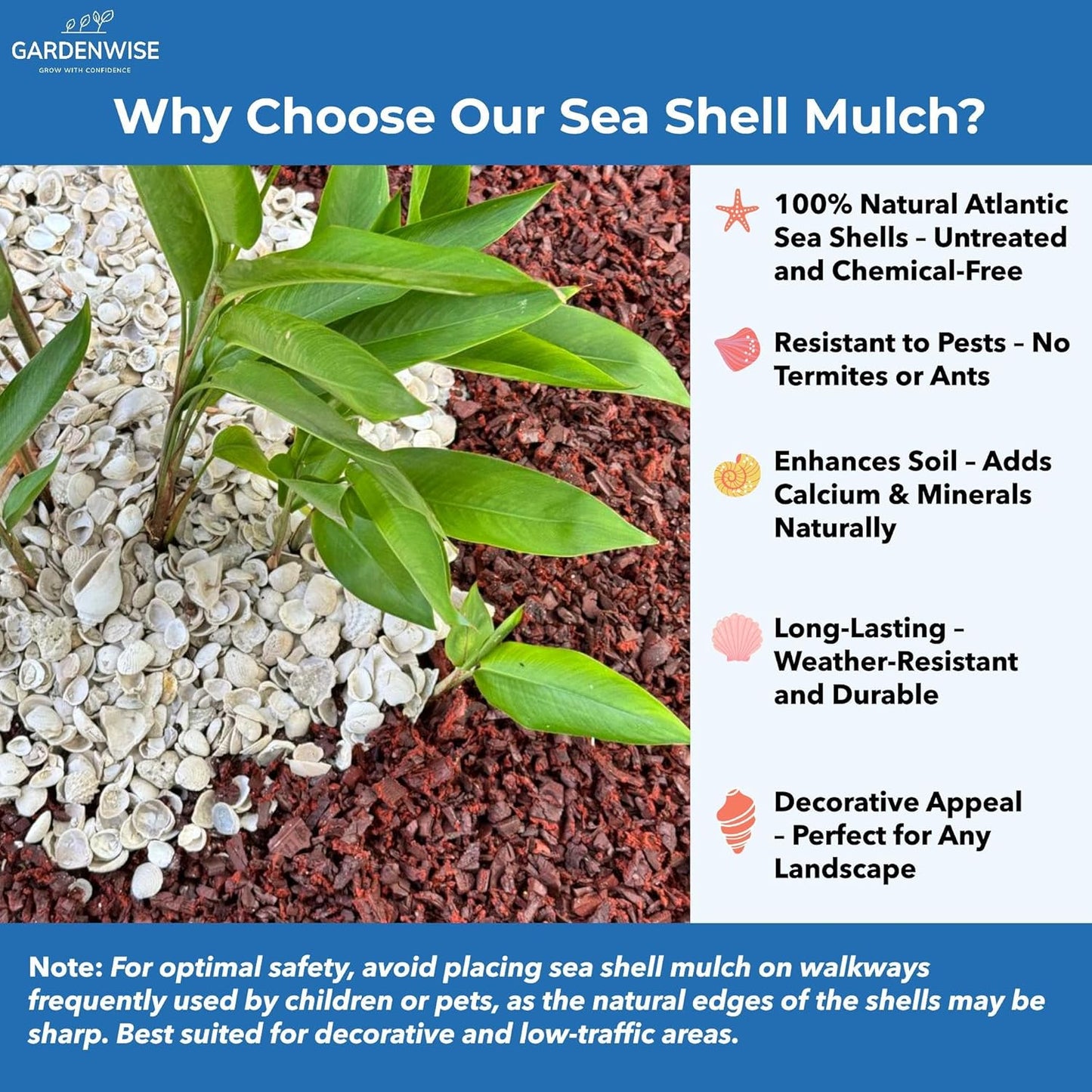 Natural Organic Sea Shell Mulch for Gardens and Landscaping – Decorative and Nutrient-Rich, 0.5–3-Inch Shells, Perfect for Indoor and Outdoor Use (0.7 CF - 20 L - 21 QTS)