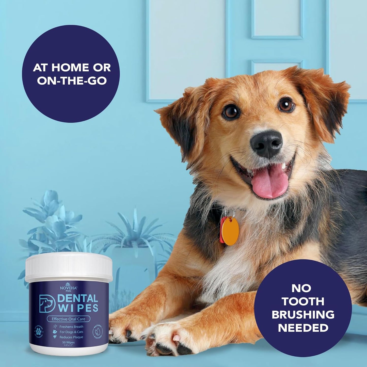 NOVEHA Pets Dental Finger Wipes for Dogs & Cats | Freshens Breath, Reduces Plaque | Healthier Gums | Clean Teeth No Toothbrush | Vet Recommended Effective Natural Oral Care (50 pcs, Flavor-Free)
