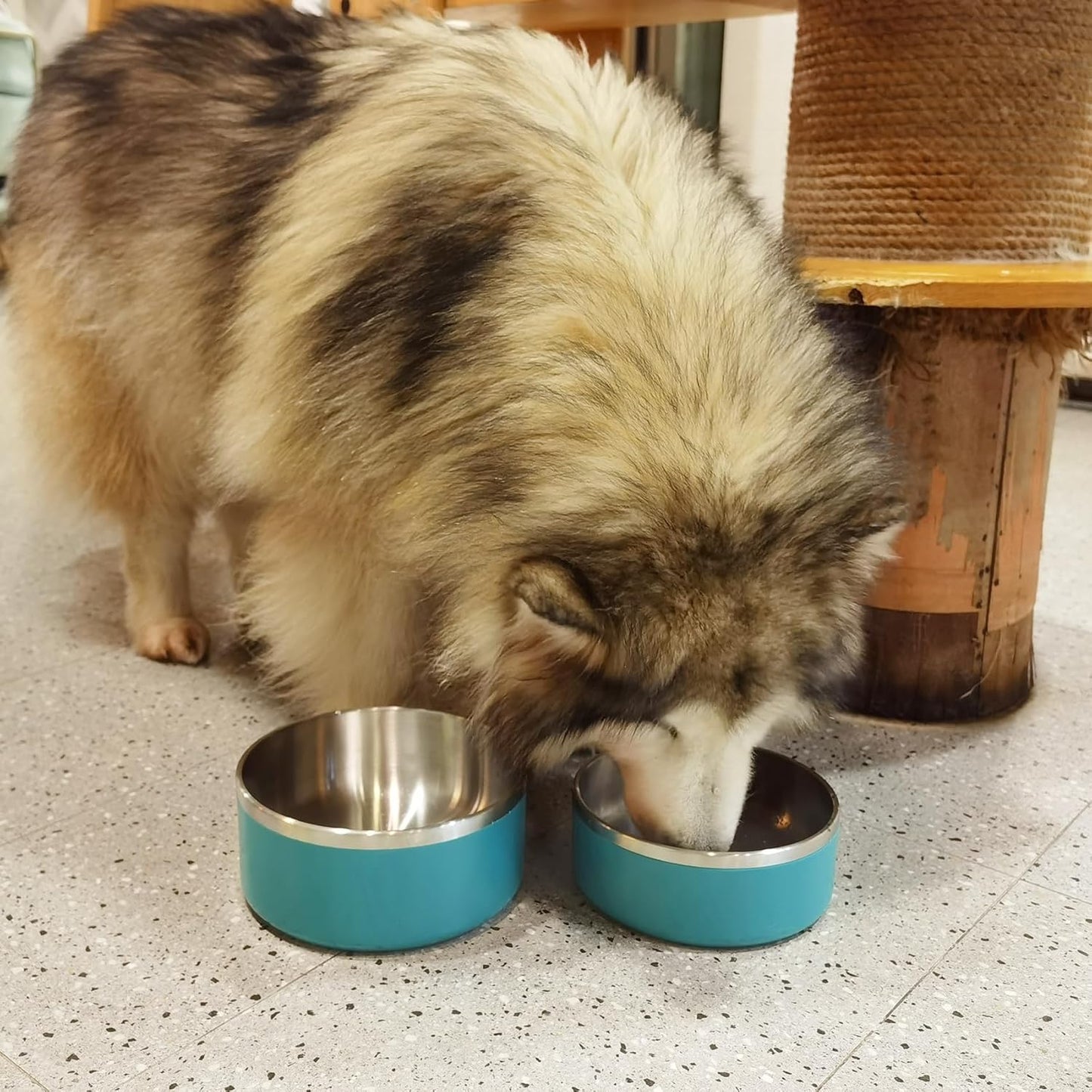 Stainless Steel Dog Bowl - Metal Water and Food Dish for Large Dogs, Insulated, Non-Slip, Easy Clean, 64oz, LakeBlue