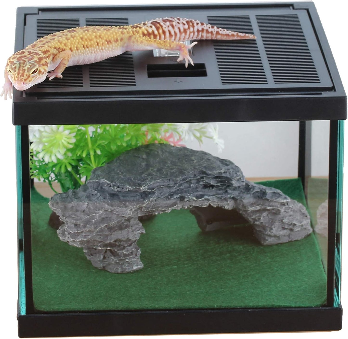 crapelles Glass Lizard Tank, Spider Box Kit, 7.8x7.8x5.9'' Tarantula Feeder Insects Beetle Habitat, Amphibians Terrarium for Small Pet, with Washable Mat, Resin Rock Shape Hideout, Artificial Flower