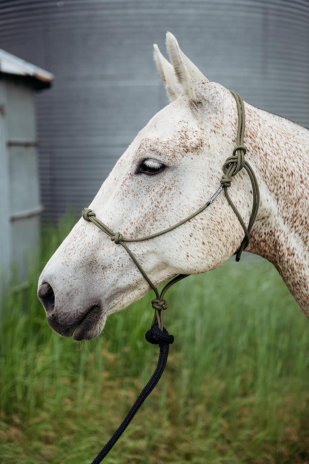 Double Braid Lead Rope with Eye Splice Loop, 12-14FT Lengths (Pink, 12 ft.)
