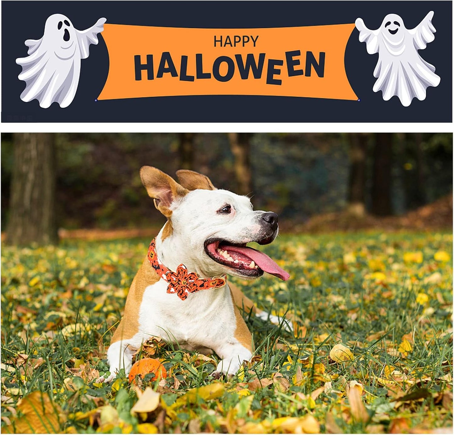 Unique style paws Halloween Dog Collar with Flower Tie Cotton Adjustable Puppy Collar for Small Medium Large Dogs-XS