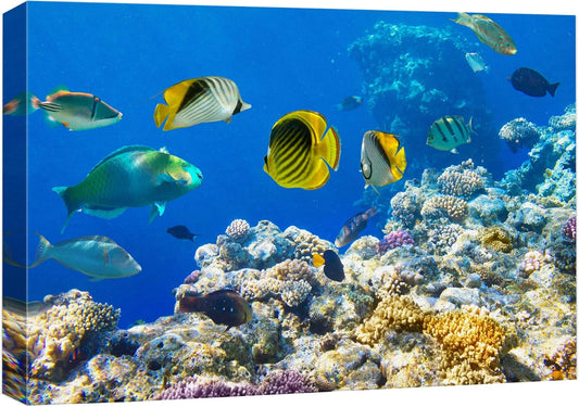 wall26 Canvas Print Wall Art Tropical Island Ocean Sea Fish Coral Reef Nature Animals Photography Realism Rustic Scenic Landscape Wilderness Earth Colorful for Living Room, Bedroom, Office - 16"x24"