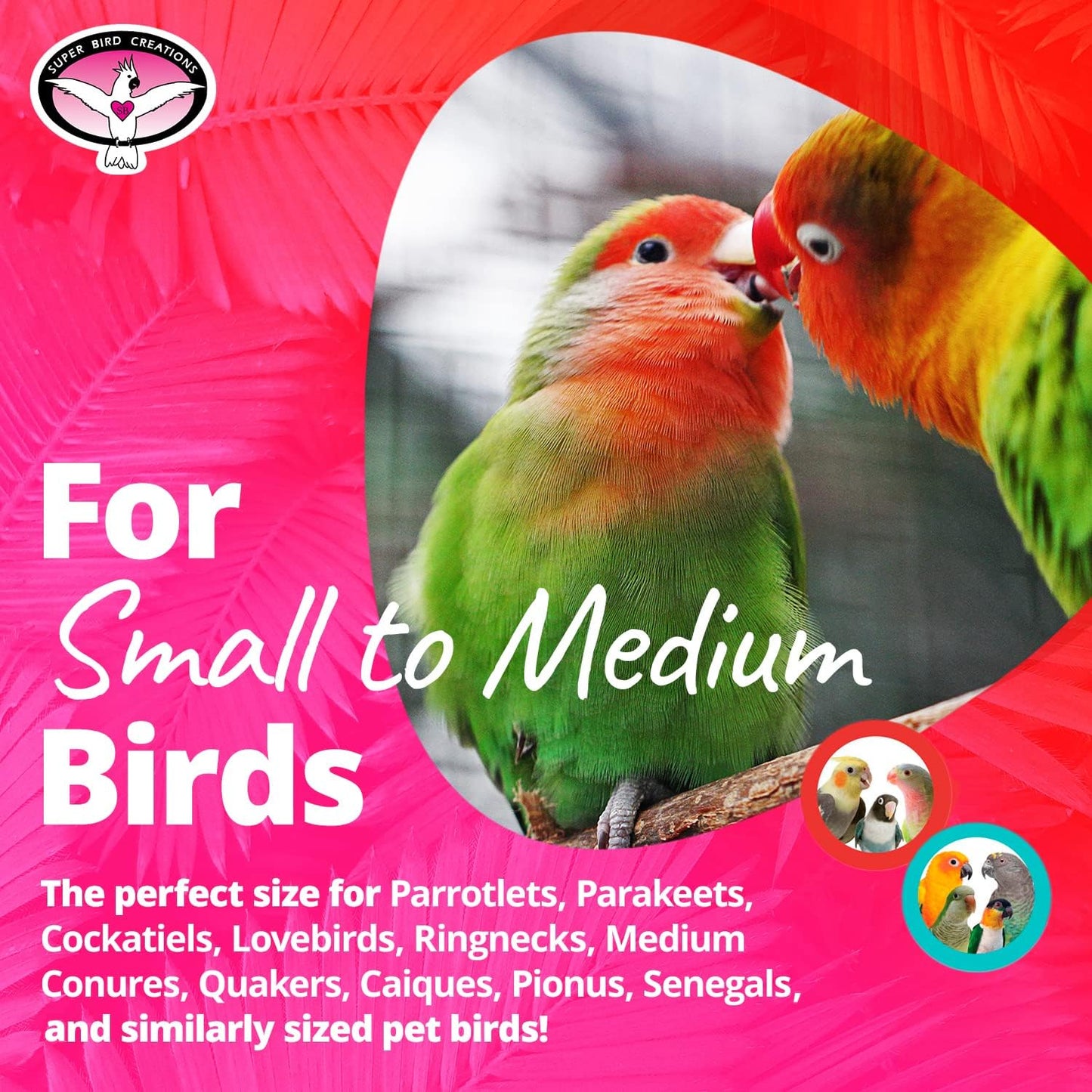 Super Bird Creations SB1152 Sure-Grip Grooming Perch for Small/Medium Birds - Enriches Beak and Foot Health - Ideal for Cockatiels, Parrots, Parakeets, Conures, Quakers - 3/4" Diam x 8" (Medium)
