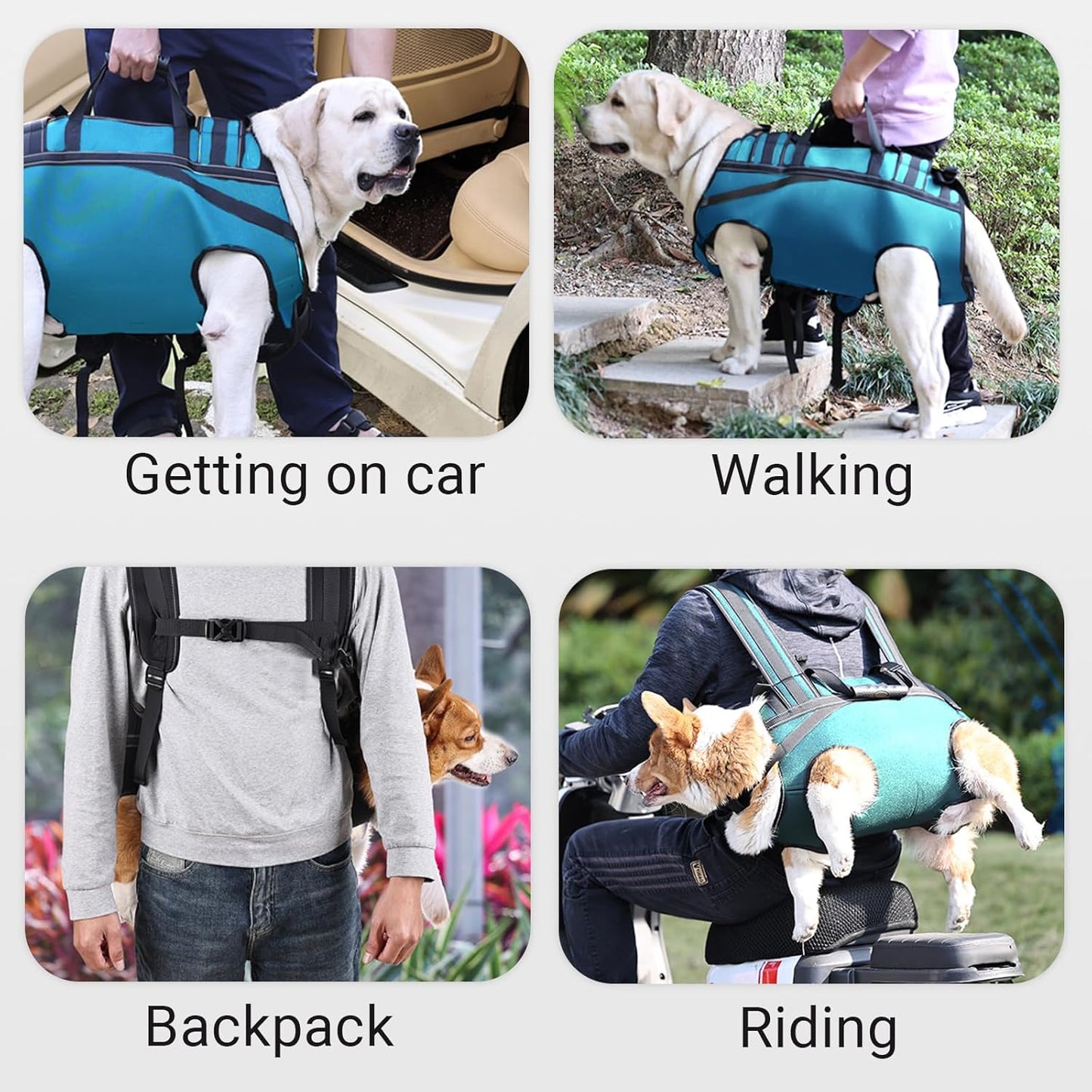 Dog Lift Harness Backpack Carrier for Large Dogs, Full Body Sling with Handle, Dog Harness for Joint Injuries, Arthritis, Ideal for Stairs, Elderly Dogs (Blue XX-Large 50-66 LBS)