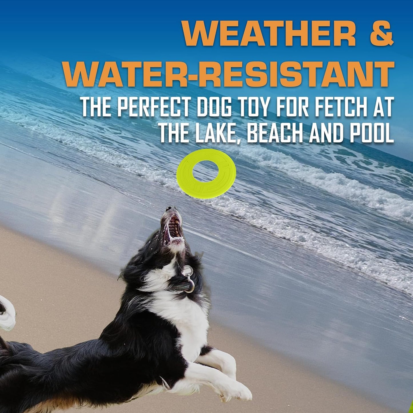 Nerf Dog Atomic Flyer Outdoor Dog Toy, 10 Inch Flying Disc Dog Fetch Toy, Rubber Dog Toy for Medium Dogs and Large Dogs, Green