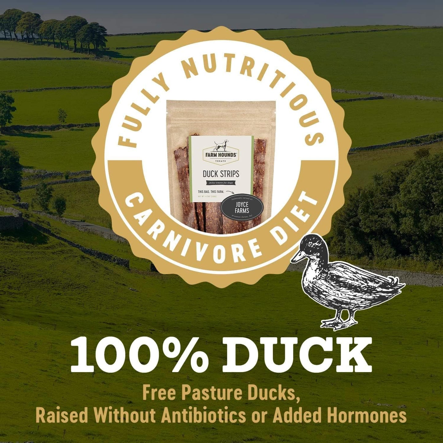 Farm Hounds - Duck Strips - Premium Natural Jerky for Dogs - Made from 100% Humanely Raised Duck - Great for Training & Treats - No Added Fillers - Made in USA - 4.5 oz - 2 Pack