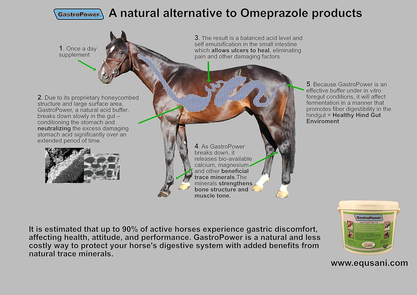 GastroPower Digestible Free Fatty Acid Feed Concentrate for Horses