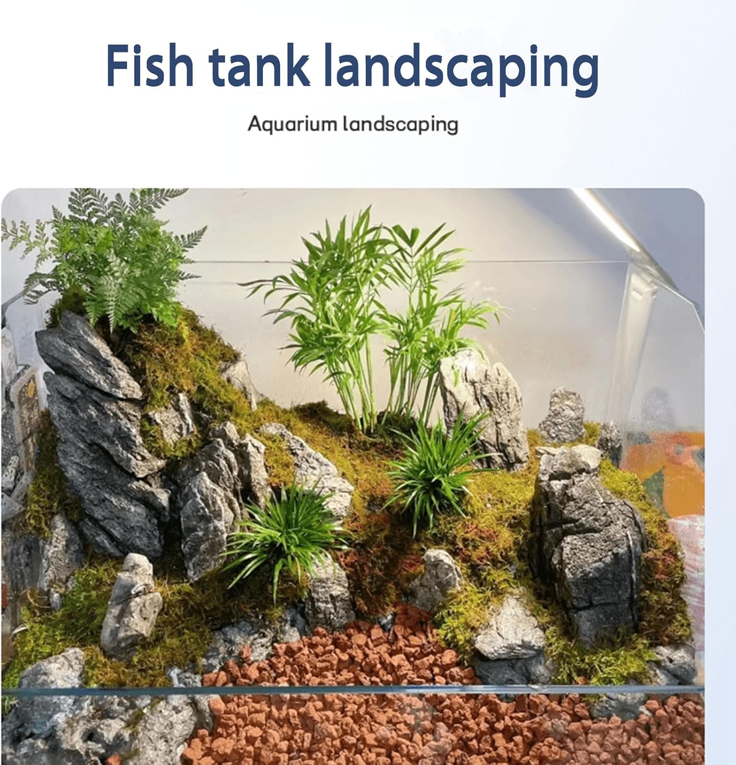 Dragon Stone Aquarium Rock Seiryu Stone for Aquariums, Fish Tanks, Bonsai, Terrariums, Wargaming Dioramas, Indoor or Outdoor Gardens-40Lb(2-10 Inch)