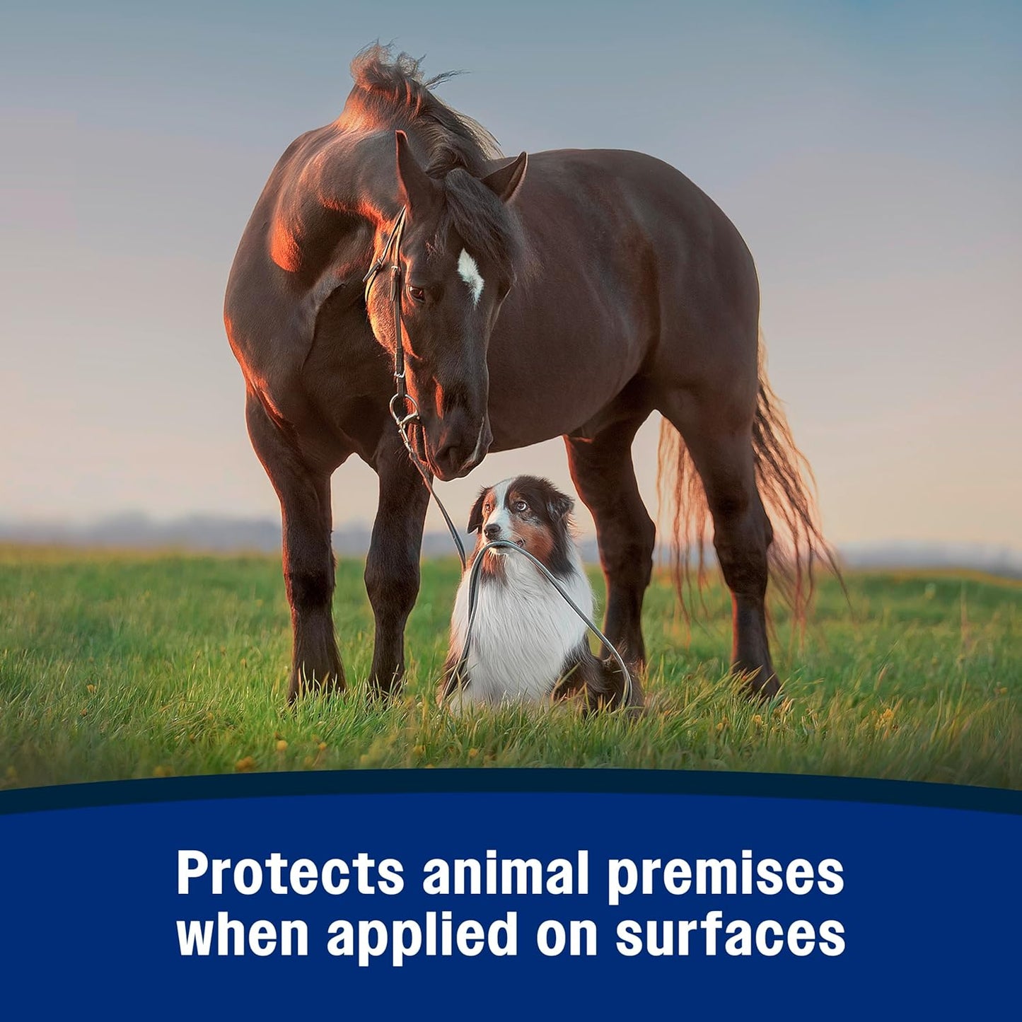 Farnam Repel-X Ready-To-Use Fly Spray, Insecticide And Repellent For Horses And Dogs, 32 Fluid Ounces, 1 Quart Bottle With Trigger Sprayer