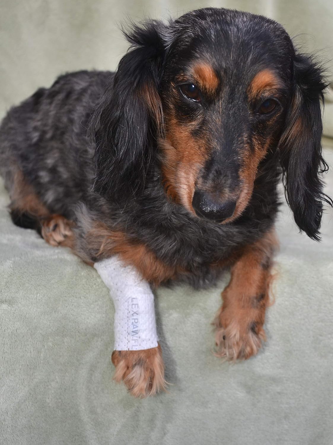 Protective Sleeve Tubular Cover - Bandages - for Dogs Cats and Other Pets First Aid Wound Care Comfortable Non-Adhesive Breathable & Water Resistant 18 Strips (yields 36-54 Covers)-(Small)