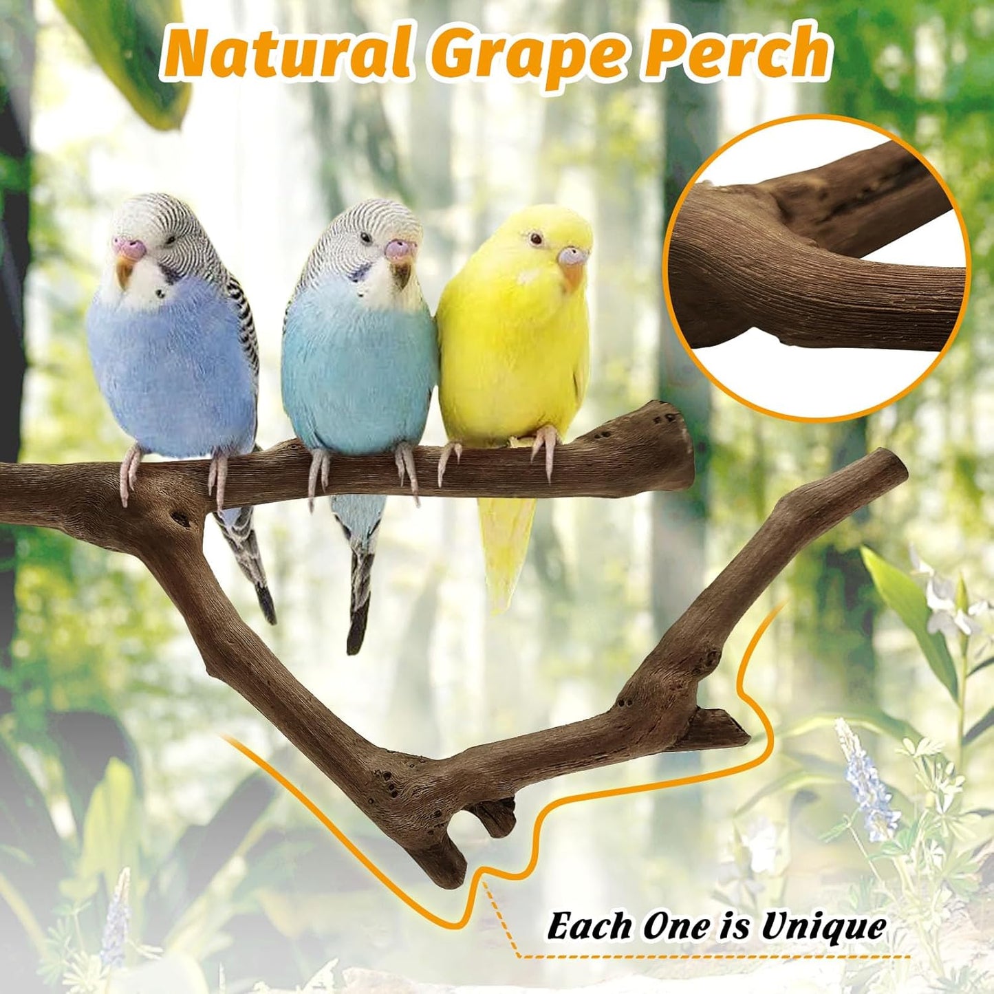 kathson 5pcs Natural Parrot Perch for Cage Wooden Bird Perches Grape Bird Stick Parakeet Climbing Standing Branches Toy Chewable Cage Accessories for Small Budgies Cockatiels Lovebirds Budgies