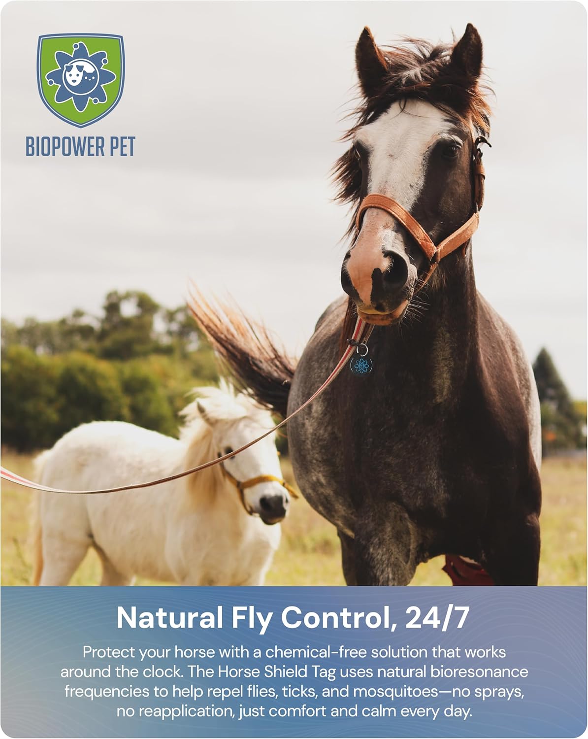 BioPower Natural Fly & Tick Repellent for Horses - Horse Shield Tag with 1-Year Bioresonance Protection – Chemical-Free, Waterproof Carbon Tag That Clips to Halter – Non-Toxic Pest Defense