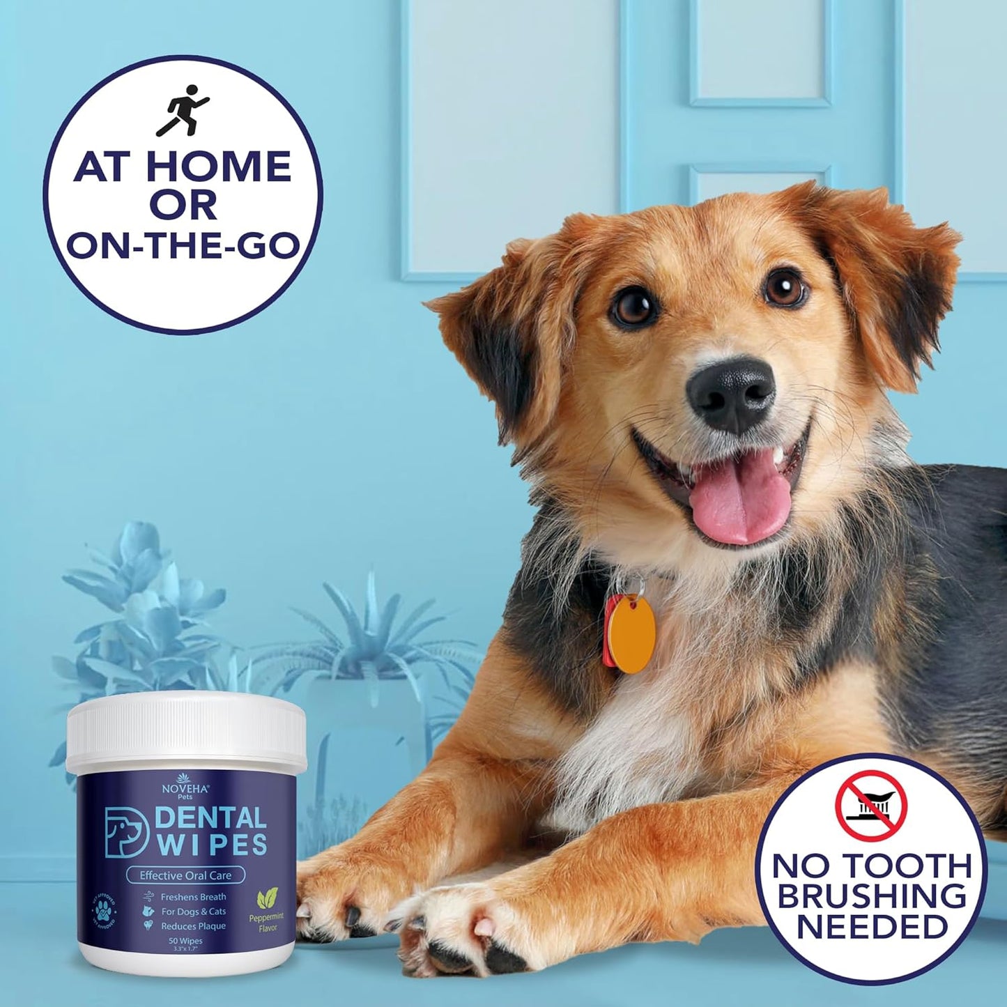 NOVEHA Pets Dental Finger Wipes for Dogs & Cats | Freshens Breath, Reduces Plaque | Healthier Gums | Clean Teeth No Toothbrush | Vet Recommended Effective Natural Oral Care (100 pcs, Mint)