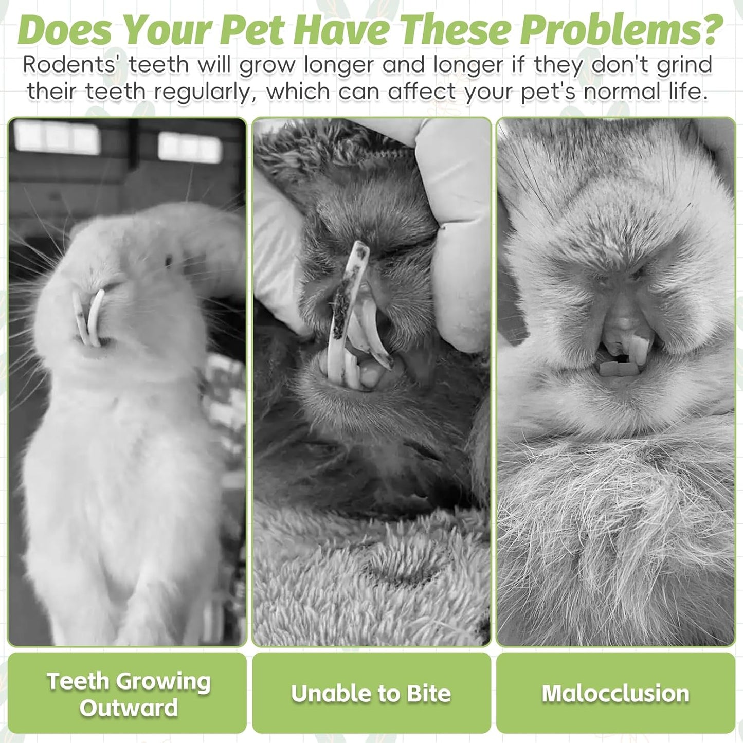 Fhiny 24 PCS Rabbit Chew Sticks, Natural Papaya Wood Seagrass Guinea Pig Chew Toys for Teeth Small Animal Molar Sticks Snacks for Bunny Guinea Pig Chinchilla Ferret Hamster Gerbil Dental Care