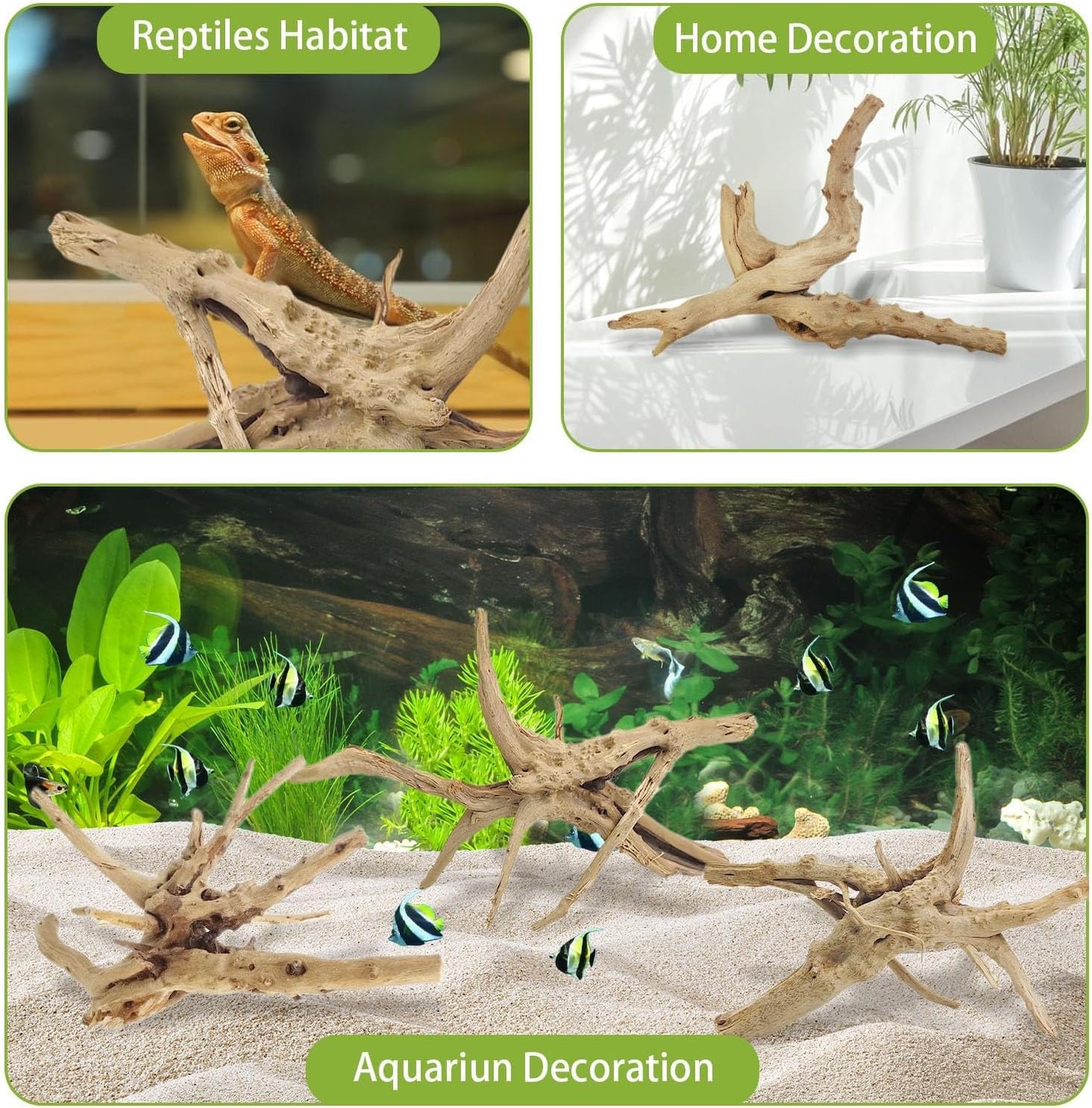 Tfwadmx Natural Driftwood for Aquarium, 6-8" 4 Pcs Wood Aquarium Decorations Fish Tank Log Reptile Tree Branches, Assorted Spider Wood Branch