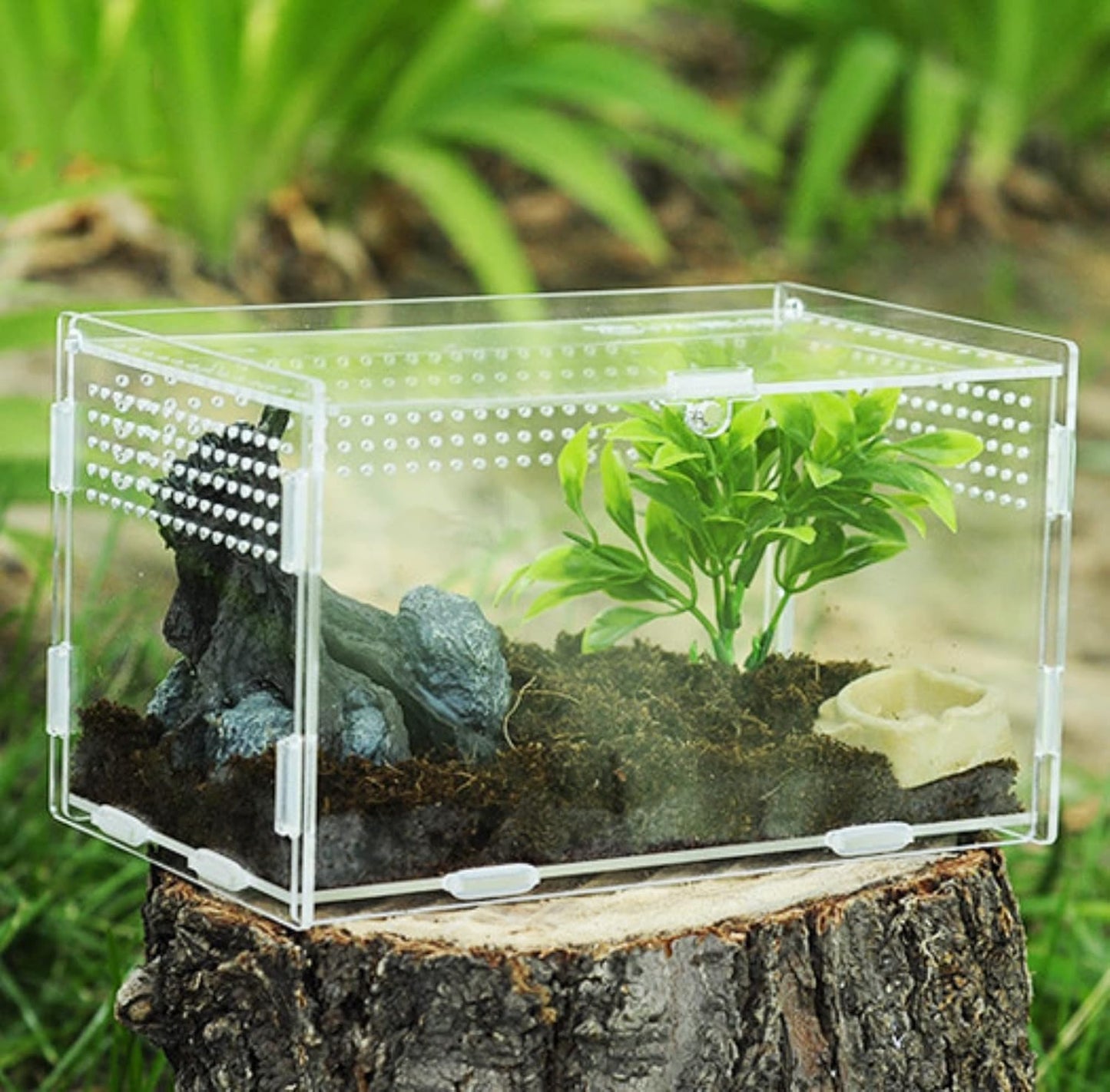 Magnetic Acrylic Case, micro habitat small Tarantula Enclosure enclosure for arboreal Tarantula Scorpion Sling Lizards Mantis Snake Gecko jumping spider snail Insect Isopods (7.8*4.7*4.7inch)