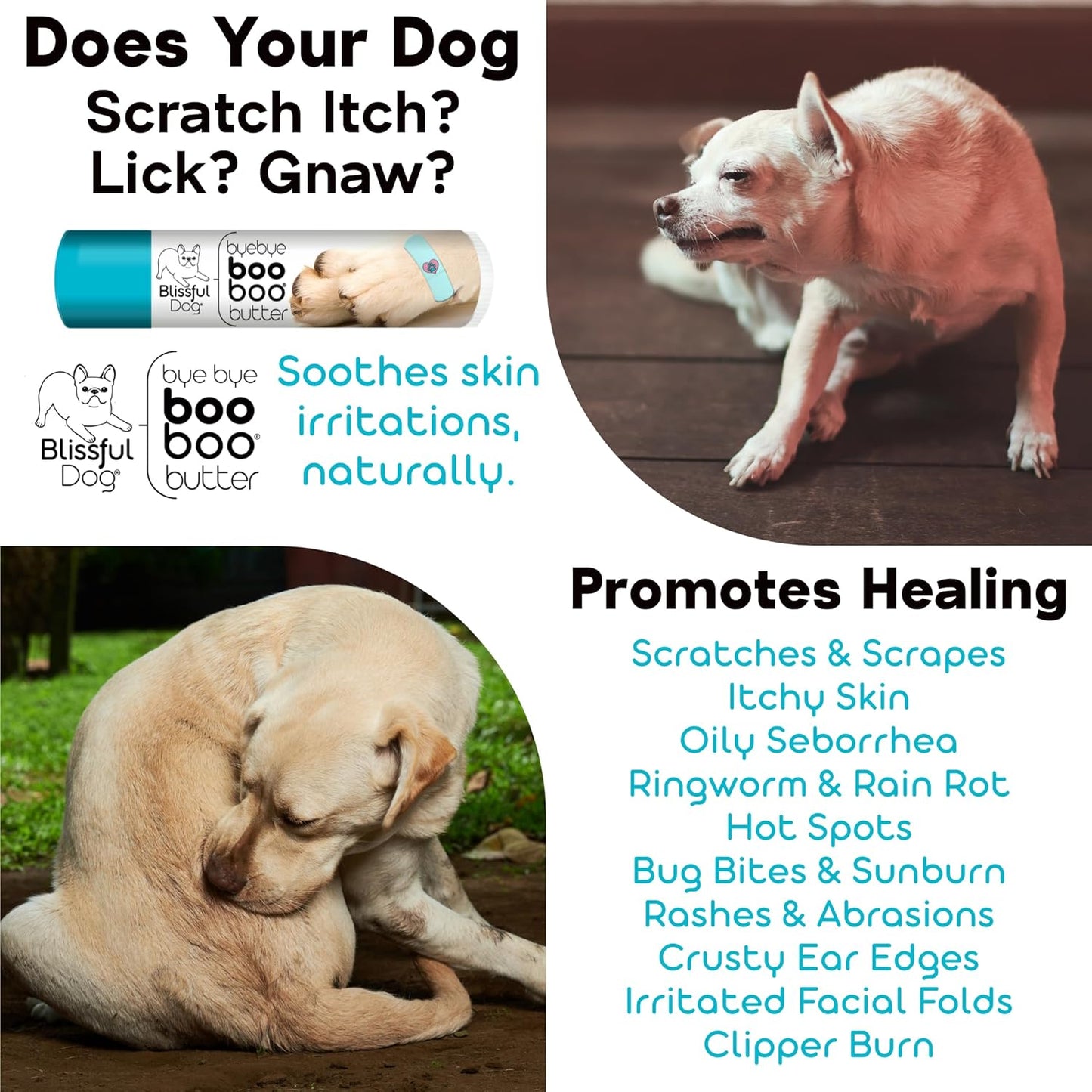 The Blissful Dog Leonberger Boo Boo Butter, 4-Ounce