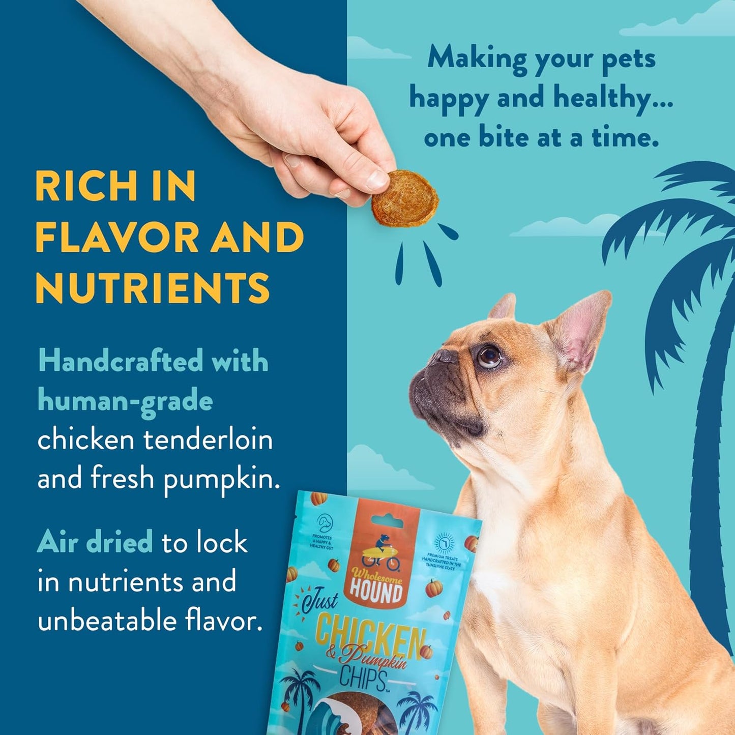 Chicken & Pumpkin Chips – Single Ingredient Dog Treats, All Natural & Healthy Training Snacks for Small, Medium & Large Breeds, Puppies – High Protein, Made in USA 3oz