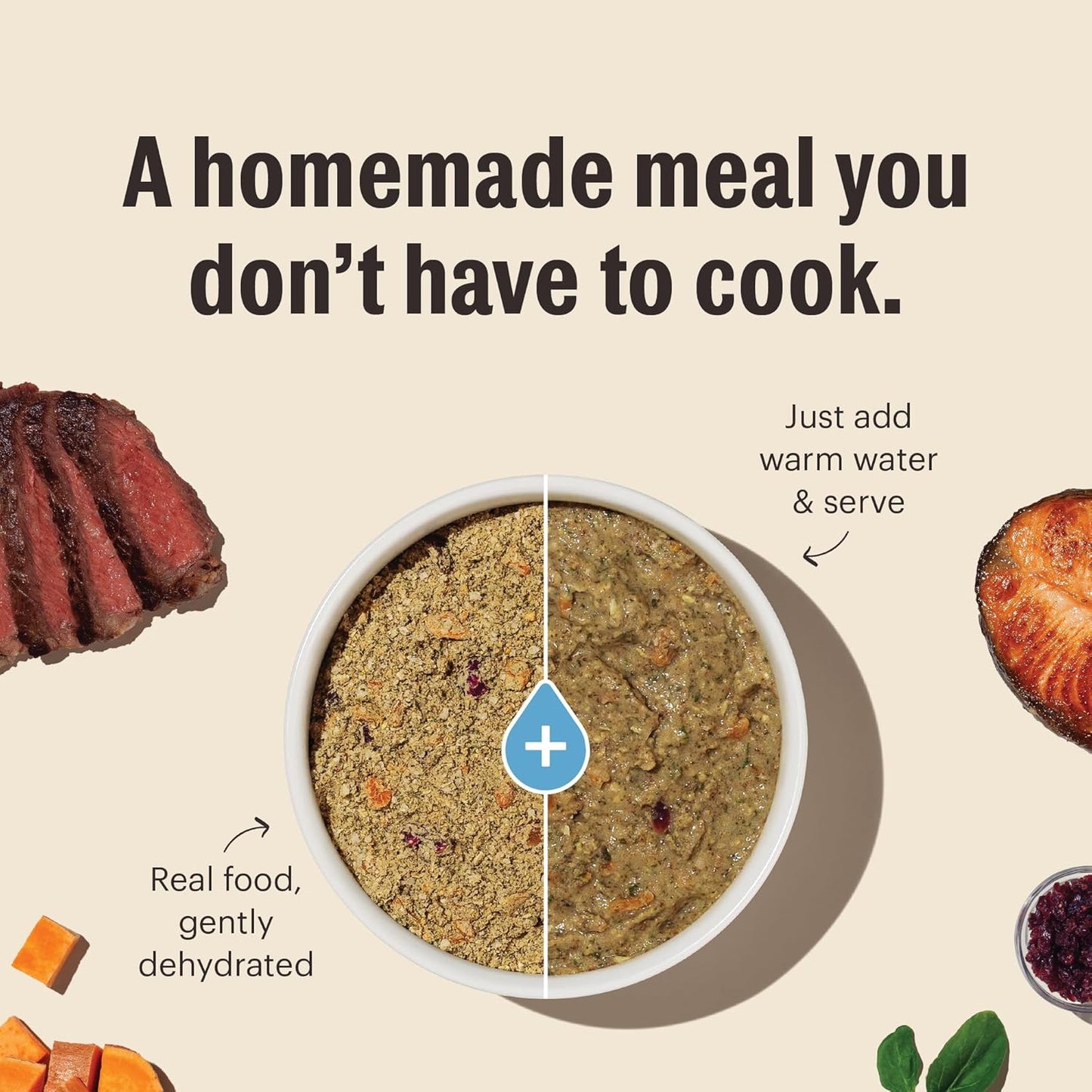 The Honest Kitchen Wholemade™ Limited Ingredient Fish Dog Food, 10 lb Box