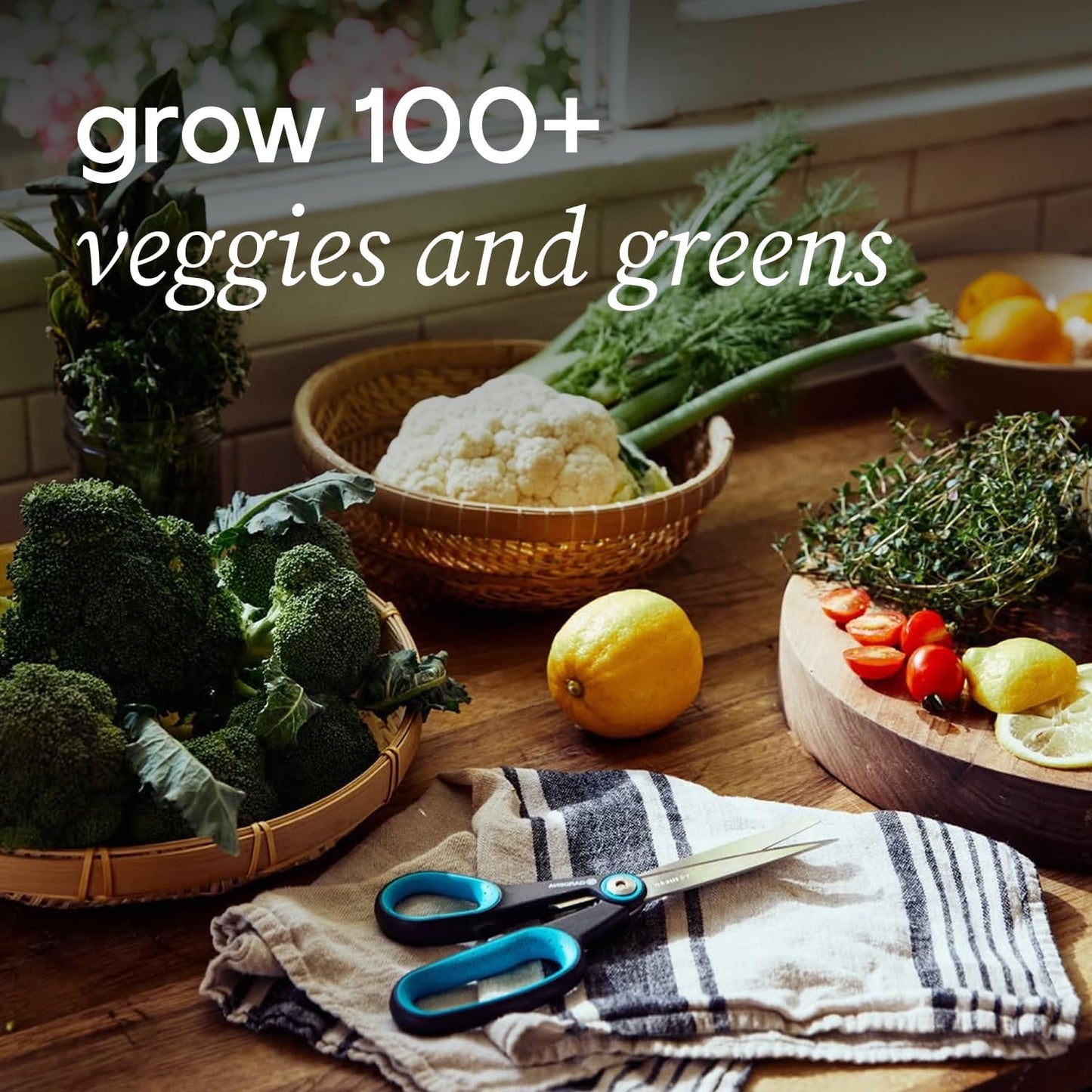 Farmstand Starter Kit + 24 Seedling Credit | Medium Hydroponic Growing System Kit | Self-Watering Outdoor Vertical Garden Planter Tower | 4ft 10in | Made in USA