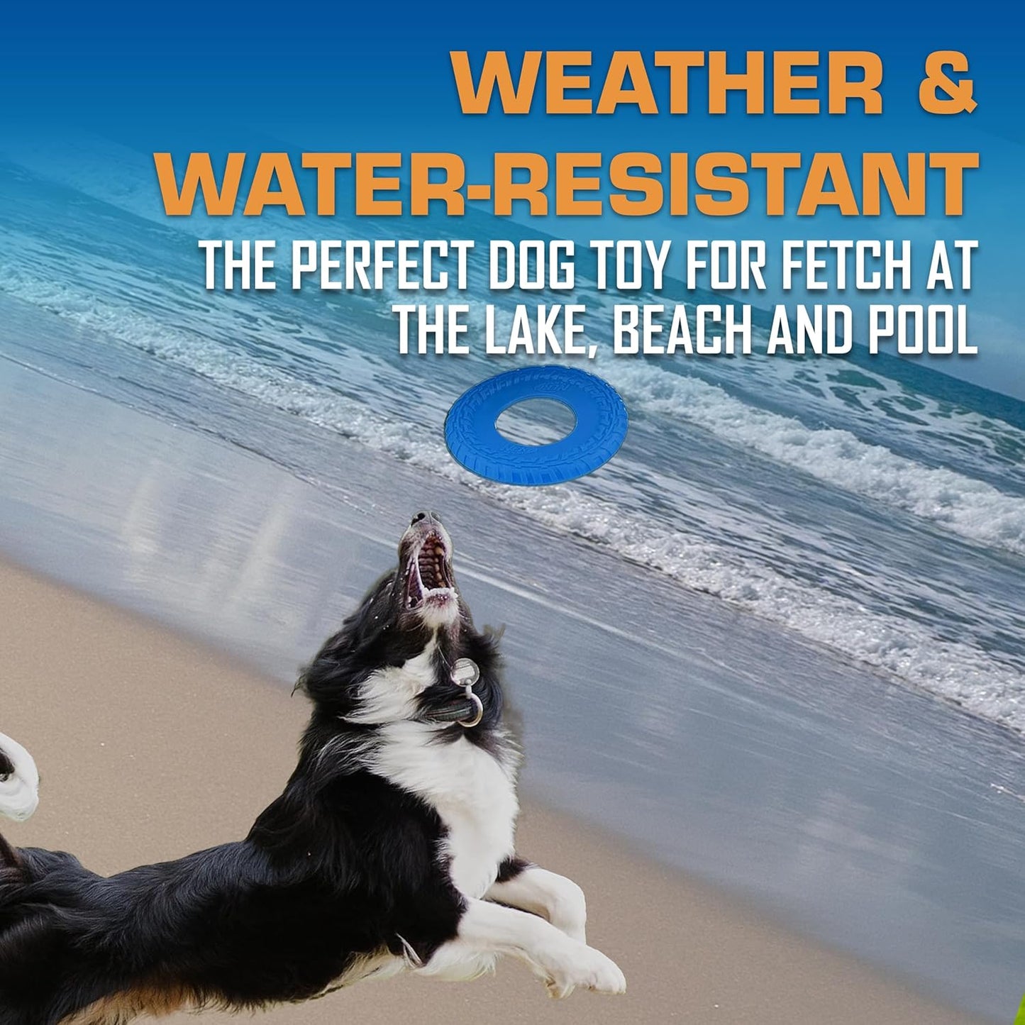 Nerf Dog Tire Flyer Outdoor Dog Toy, 10 Inch Flying Disc Dog Fetch Toy, Rubber Dog Toy for Medium Dogs and Large Dogs, Blue