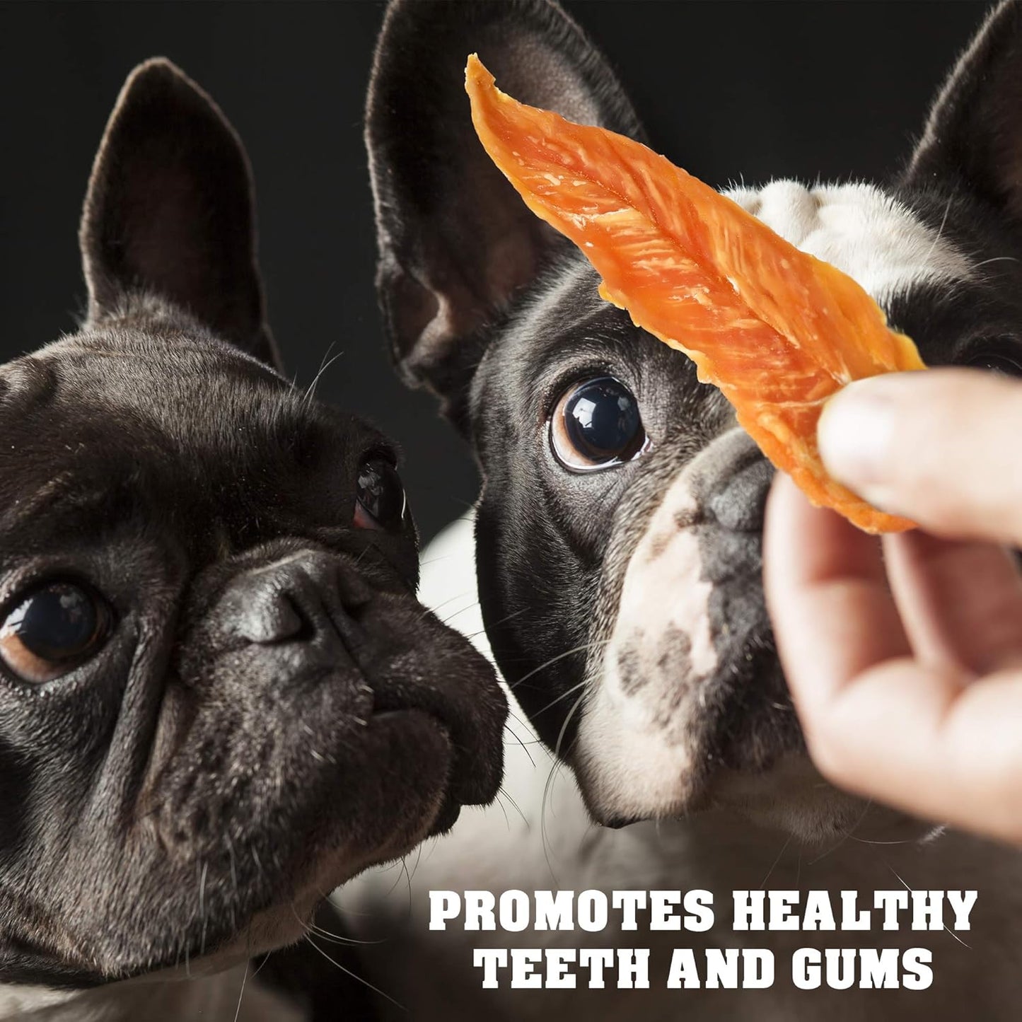 Dog Treats Chicken Jerky 1.5 Lb - Human Grade Pet Snacks & High Protein Meat - All Natural High Protein Dried Strips - Best Chews for Training Small & Large Dogs - Bulk Soft Pack Made for USA