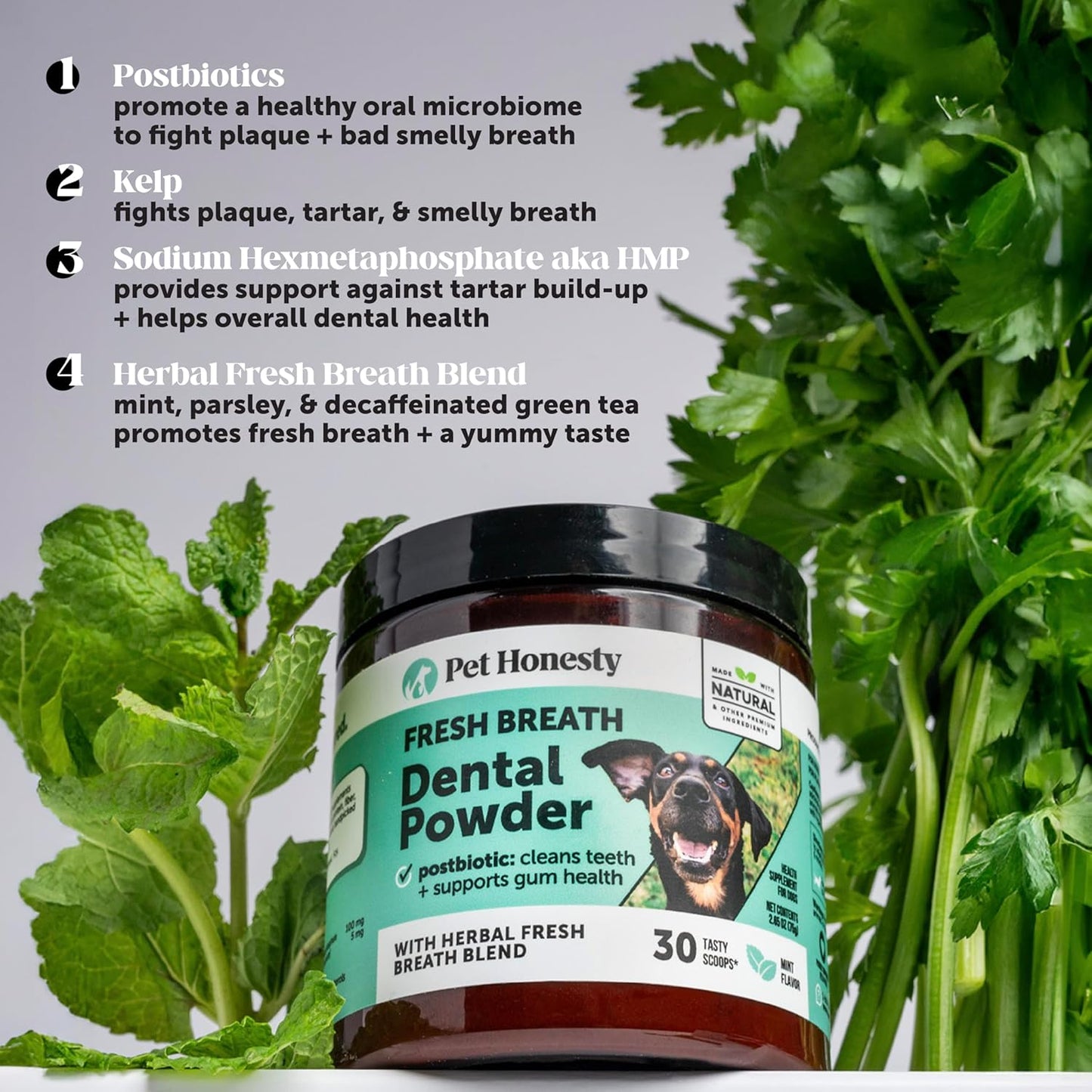 Dog Breath Freshener Dental Powder for Teeth Cleaning Plaque Off, Dental Care for Dogs, Tartar Remover for Teeth with Natural Herbal Blend + Postbiotics (Mint - 30 Servings)