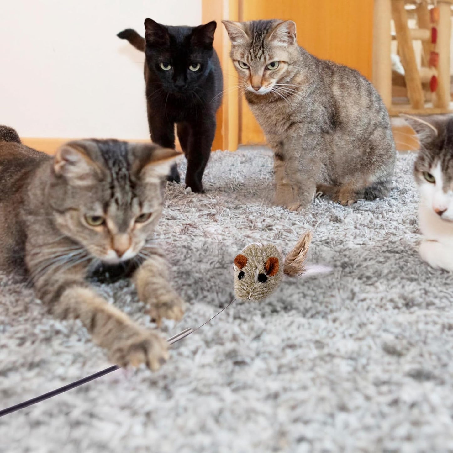 JXFUKAL Cat Feather Toy Refills, 6Pcs Simulation Bird Mouse Bee Worm Feather Cat Lures Wand Attachment Replacement for Kitty Kitten Indoor Cats Accessories