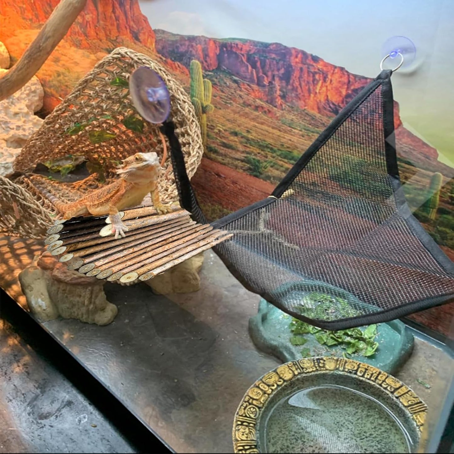 kathson Reptile Hideout Wooden Bridge Bearded Dragon Hammock Reptiles Jungle Climbing Vines Flexible Leaves Bearded Dragon Accessories for Lizard Gecko Chameleon Snake Hamster(5 Pcs)