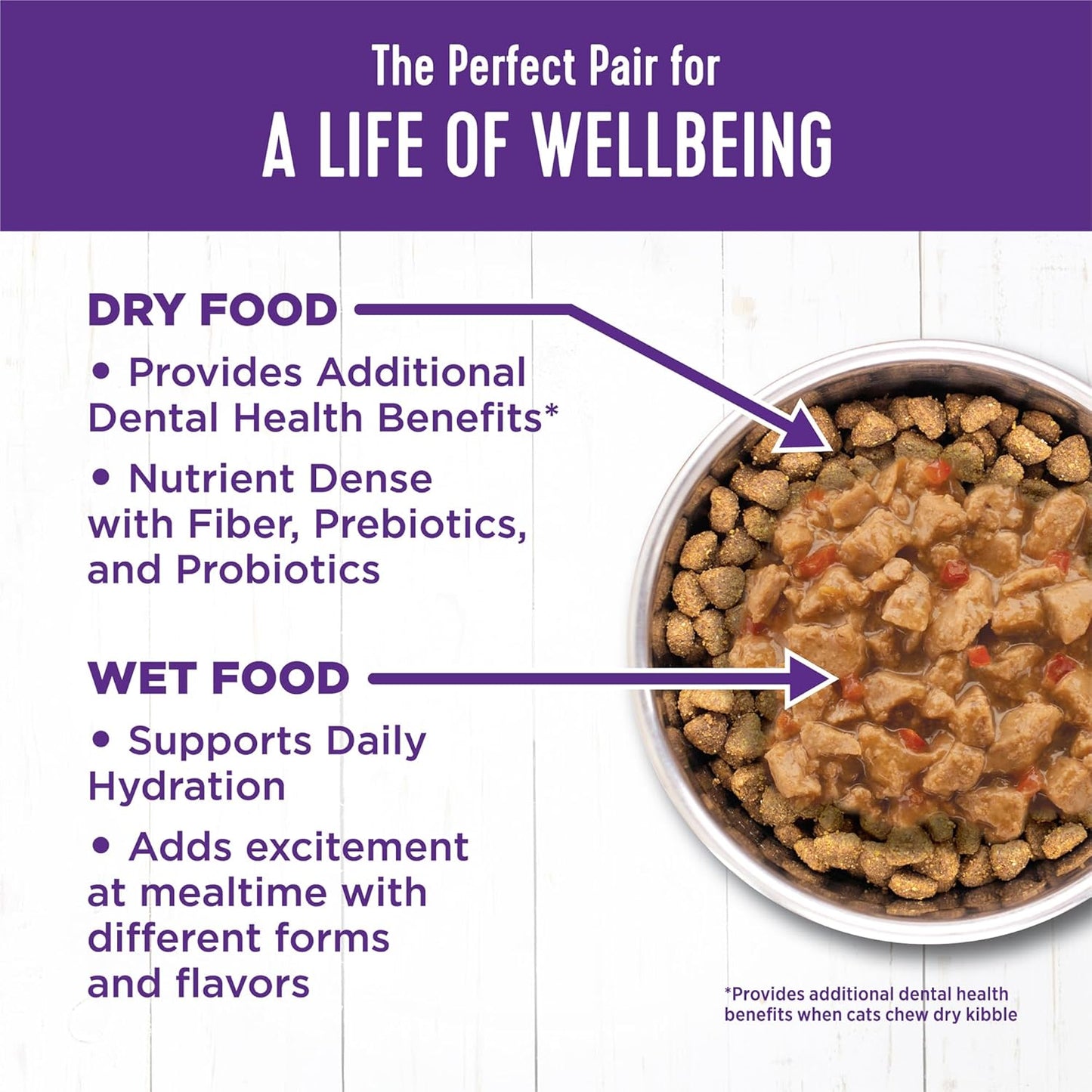 Wellness Complete Health Minced Adult Wet Cat Food, Natural, Protein-Rich, Grain Free, 5.5 Ounce, 24 Pack, (Turkey & Salmon Entrée)