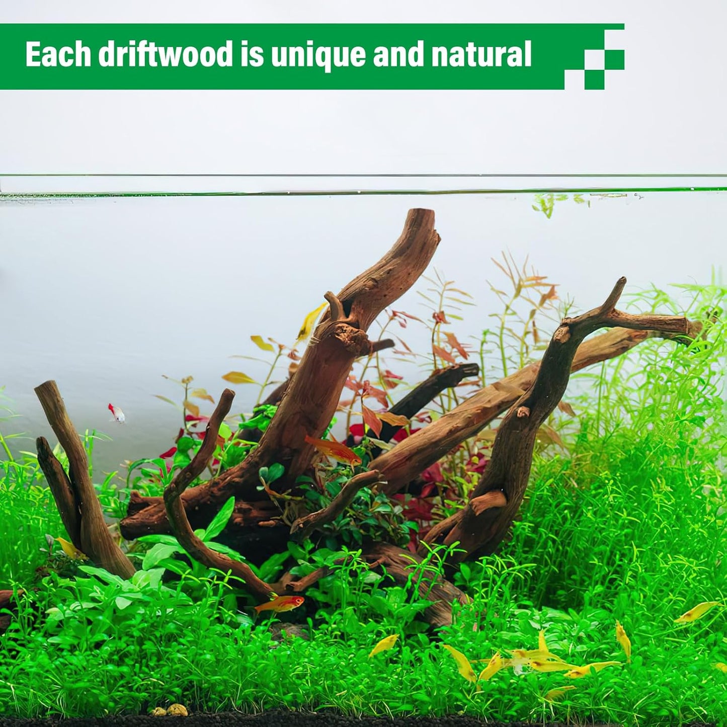 Driftwood for Aquarium Natural Aquarium Wood for Aquascaping Fish Tank Decorations Reptile Tank Decor (Natural Driftwood 6-10" (Pack of 3)+Protein Cotton)