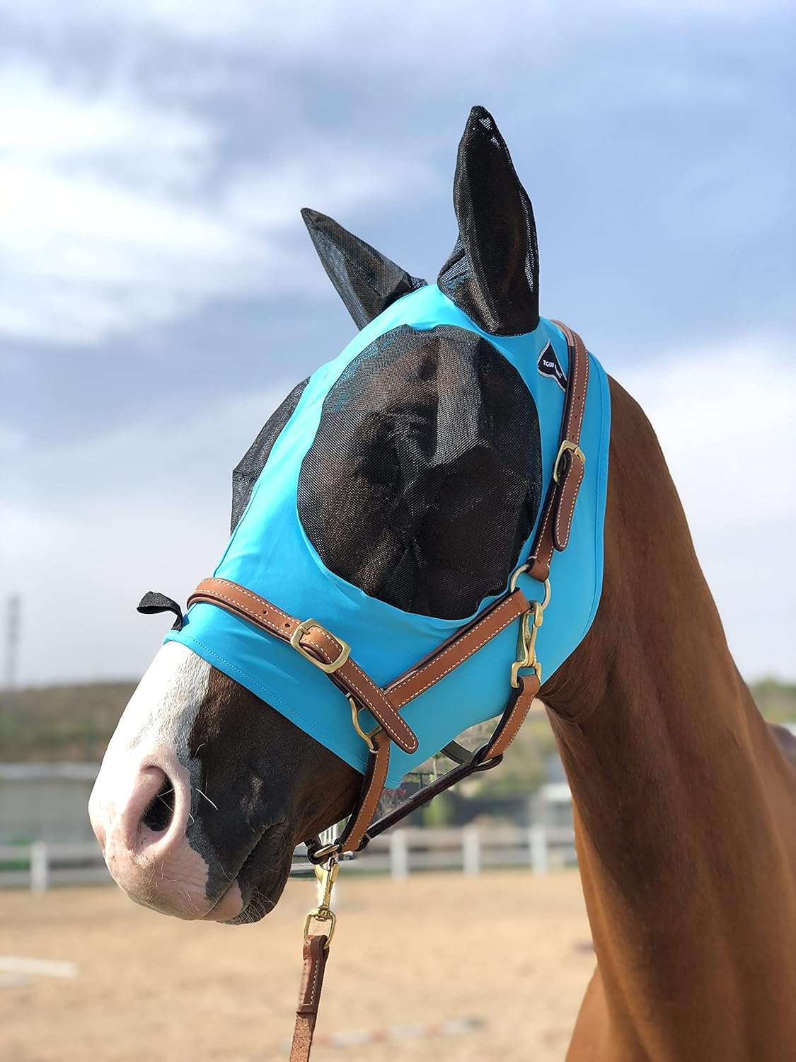 Horse Fly Mask Super Comfort Horse Fly Mask Elasticity Fly Mask with Ears We Only Make Products That Horses Like… (Pacific Blue, M)