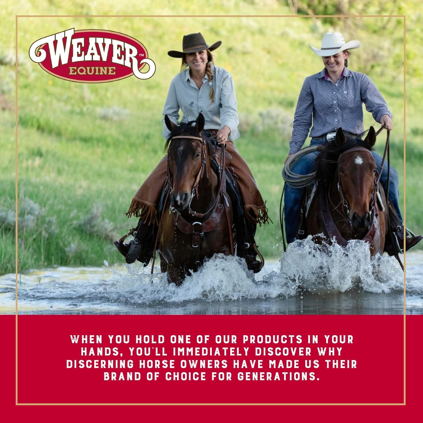 Weaver EquineWeaver Leather Stock Whip with Rubber Handle and 10" Popper, Green/White