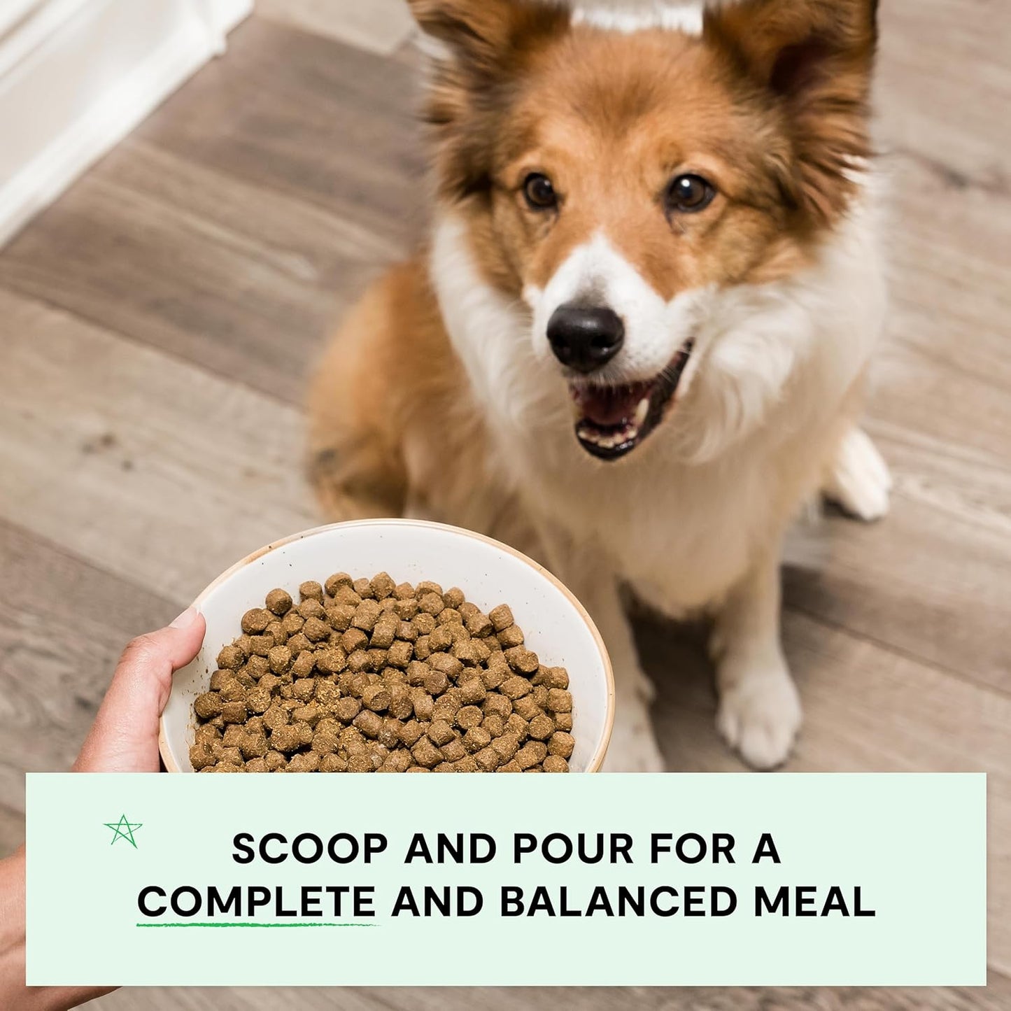 Open Farm, Grain-Free Dry Dog Food, Complete & Balanced Kibble, Sustainably & Ethically Sourced Ingredients, Non-GMO Veggies & Superfoods Support Overall Health, Pasture Raised Lamb Recipe, 4lb Bag