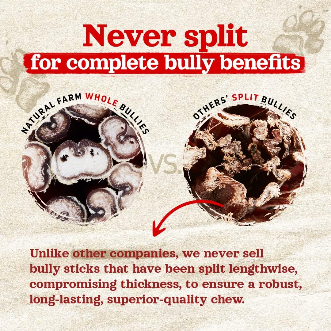 Natural Farm Odor-Free Bully Sticks (12 Inch, 12 Pack), 1.2 lbs. Per Bag, 100% Beef Pizzle Chews, Grass-Fed, Non-GMO, Fully Digestible Long Lasting Best Dental Treats to Keep Your Dogs Busy