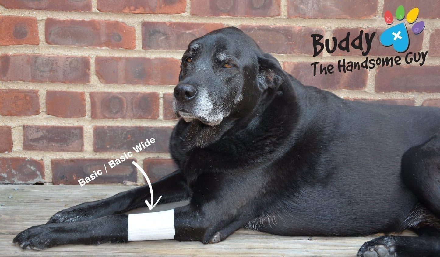 Basic Leg Bandages for Dogs, Cats and Other Pets First Aid Non-Adhesive Fur Friendly - Value 10 Pack (5 Standard, 5 Wide) by PawFlex (XX-Small)