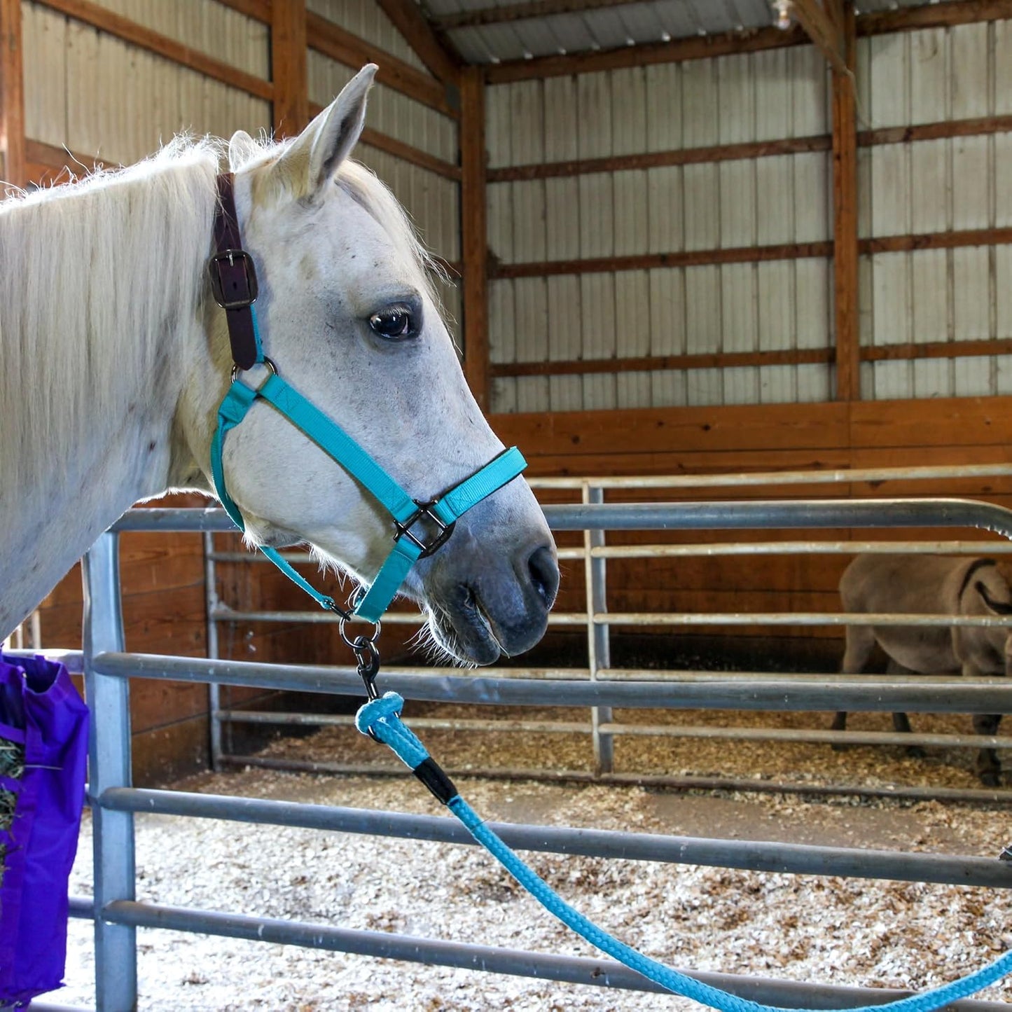 Majestic Ally Leather Halter with Matching Lead Rope for Horses – Leather Breakaway Crown - Adjustable Chin Strap – Rolled Throat Latch – Padded Noseband – Full (Red, Full)