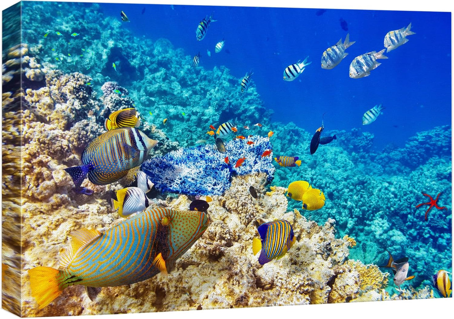 wall26 Canvas Print Wall Art Underwater Neon Blue Teal Ocean Water Fish Nature Animals Photography Realism Rustic Scenic Landscape Wilderness Earth for Living Room, Bedroom, Office - 12"x18"