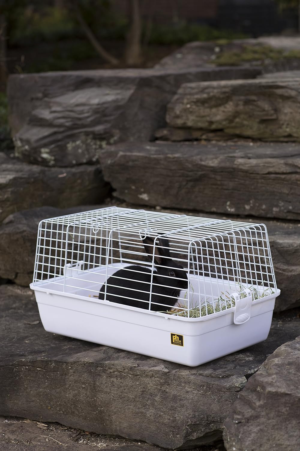 Prevue Pet Products Carina Animal Tubby, Small, White (SP526W)