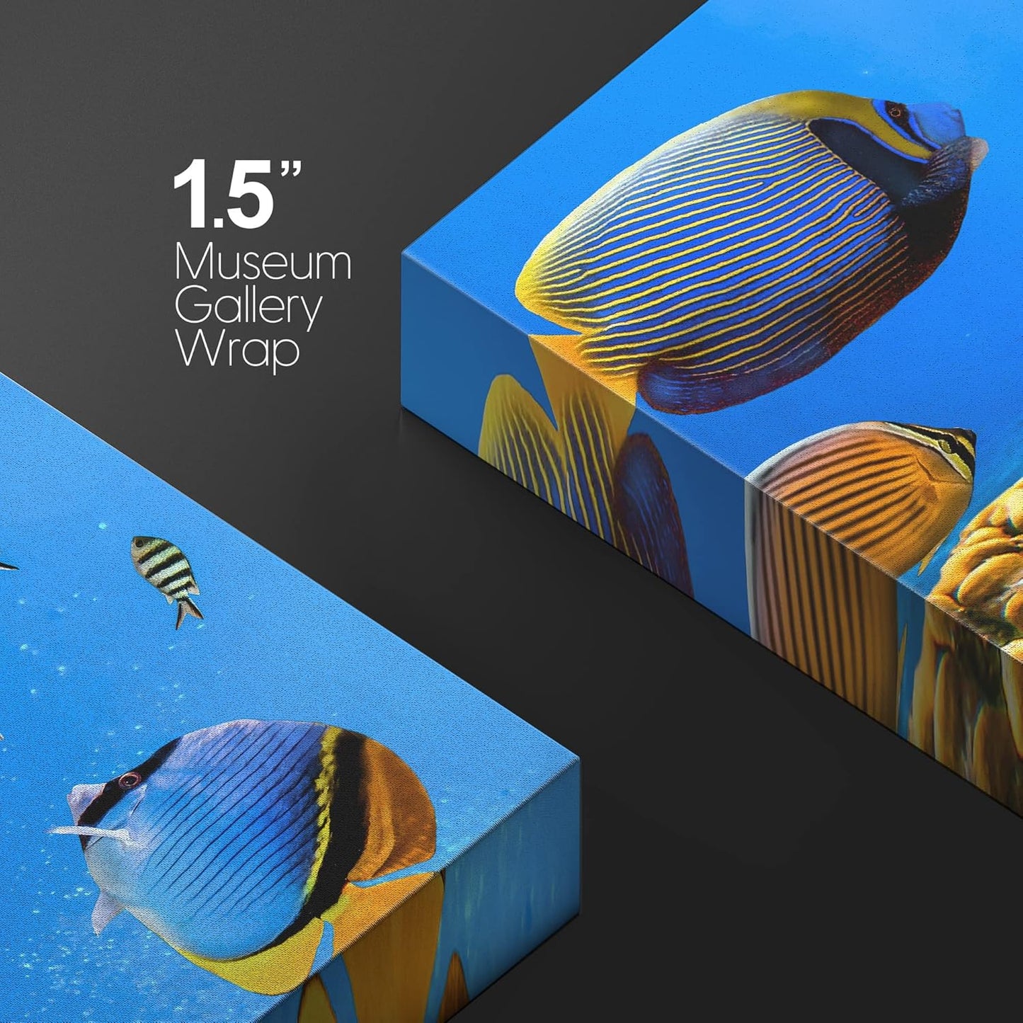 wall26 Canvas Print Wall Art Tropical Island Underwater Fish Red Anemone Nature Animals Photography Realism Rustic Scenic Landscape Wilderness Colorful for Living Room, Bedroom, Office - 24"x36"