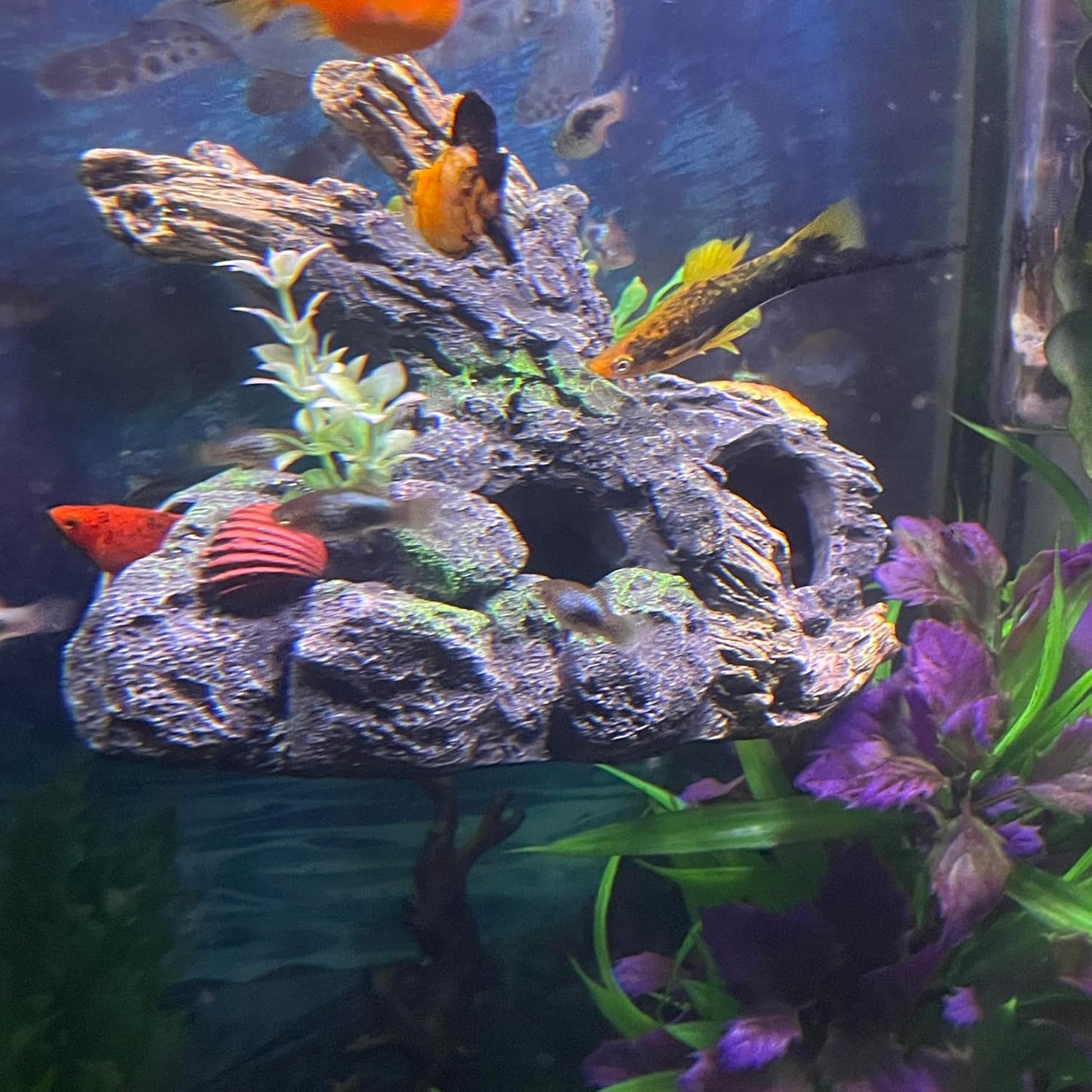 Aquarium Decor Magnetic Driftwood Outcropping Ornament – Wall-Mounted Fish Tank Decoration – Unique Realistic Aquarium Fish Hideout